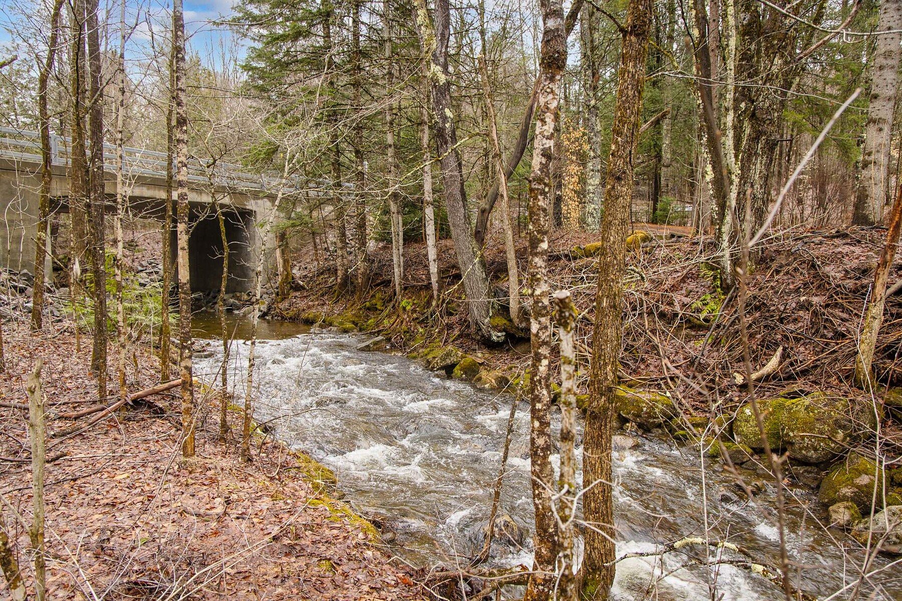  Lac-Brome, Eastern Townships - 物件實景