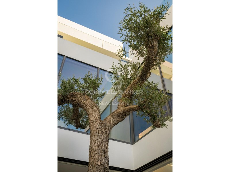 M?laga, Marbella, Nag?eles-Milla de Oro, Milla de, Marbella, Andalusia, ES, 4 Bedrooms Bedrooms, ,4 BathroomsBathrooms,Residential,For Sale,M?laga, Marbella, Nag?eles-Milla de Oro, Milla de ,1618693