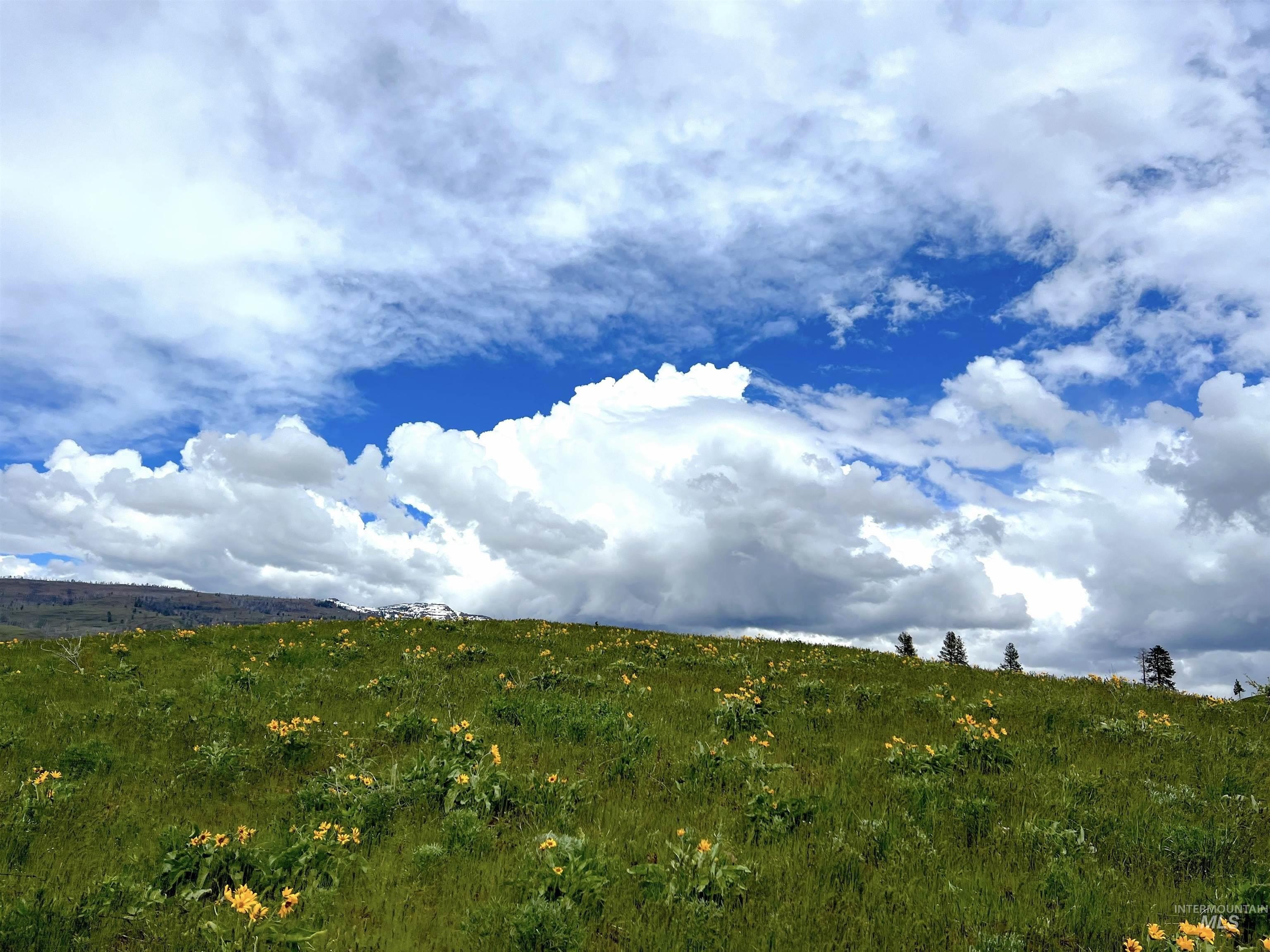 Council, Idaho, 83612, United States, ,Residential,For Sale,1921921