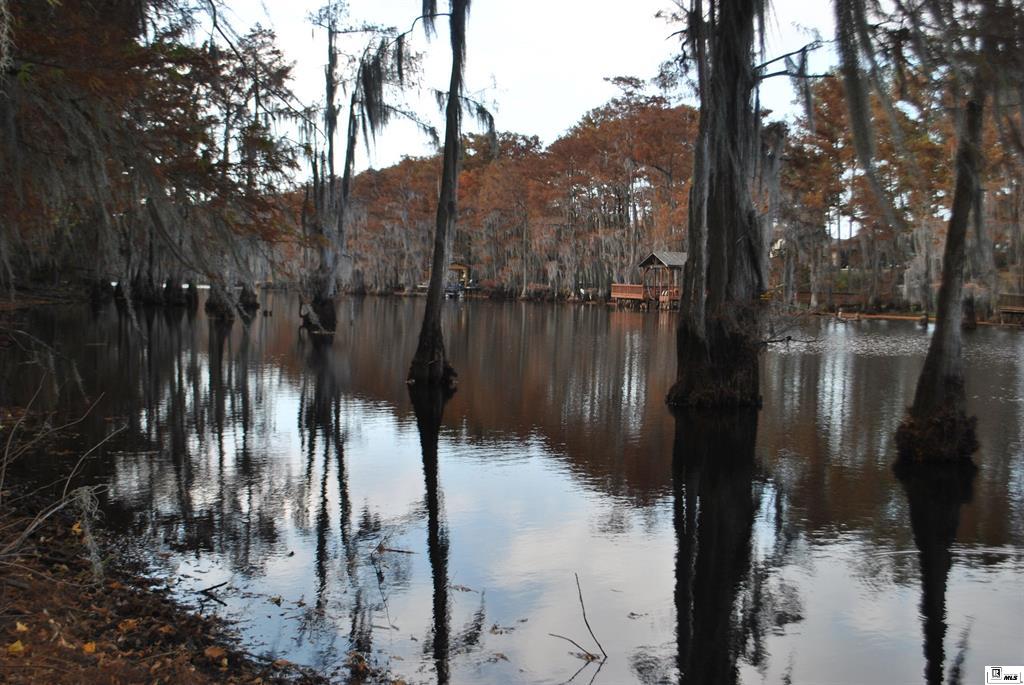 Sterlington, Louisiana, 71280, United States, 4 Bedrooms Bedrooms, ,3 BathroomsBathrooms,Residential,For Sale,1995484