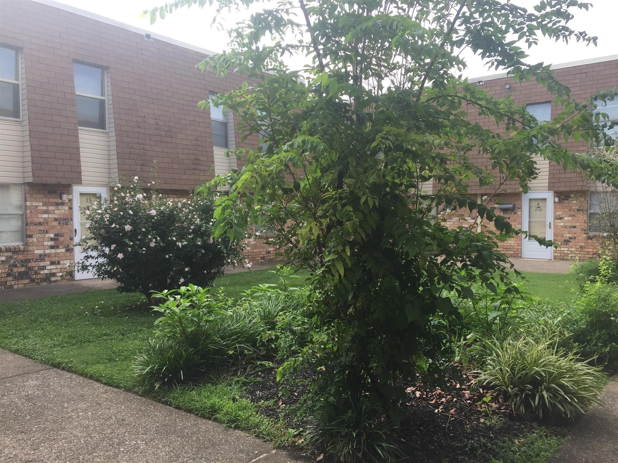 Wallace Rd, Nashville, TN 37211 #1