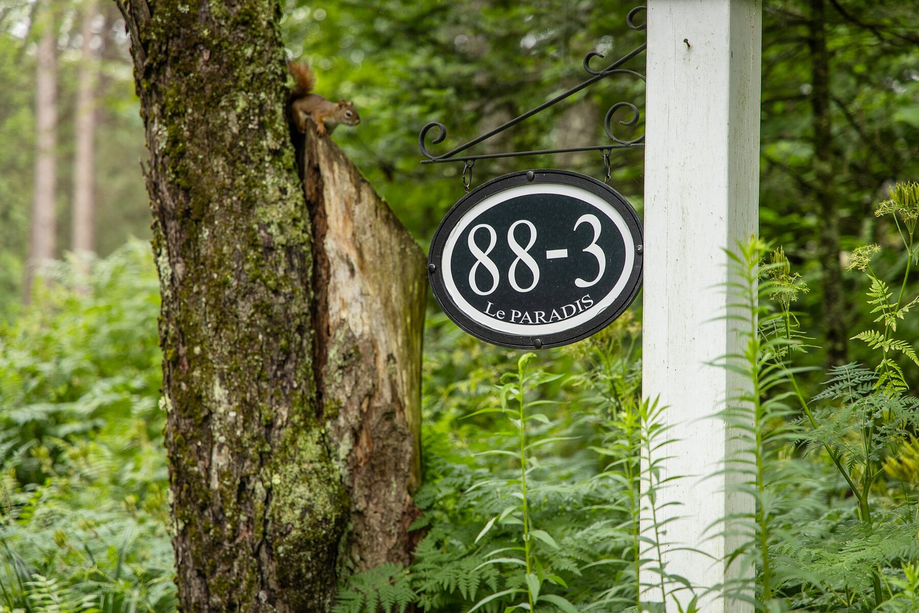  Lac-Brome, Eastern Townships - 物件實景