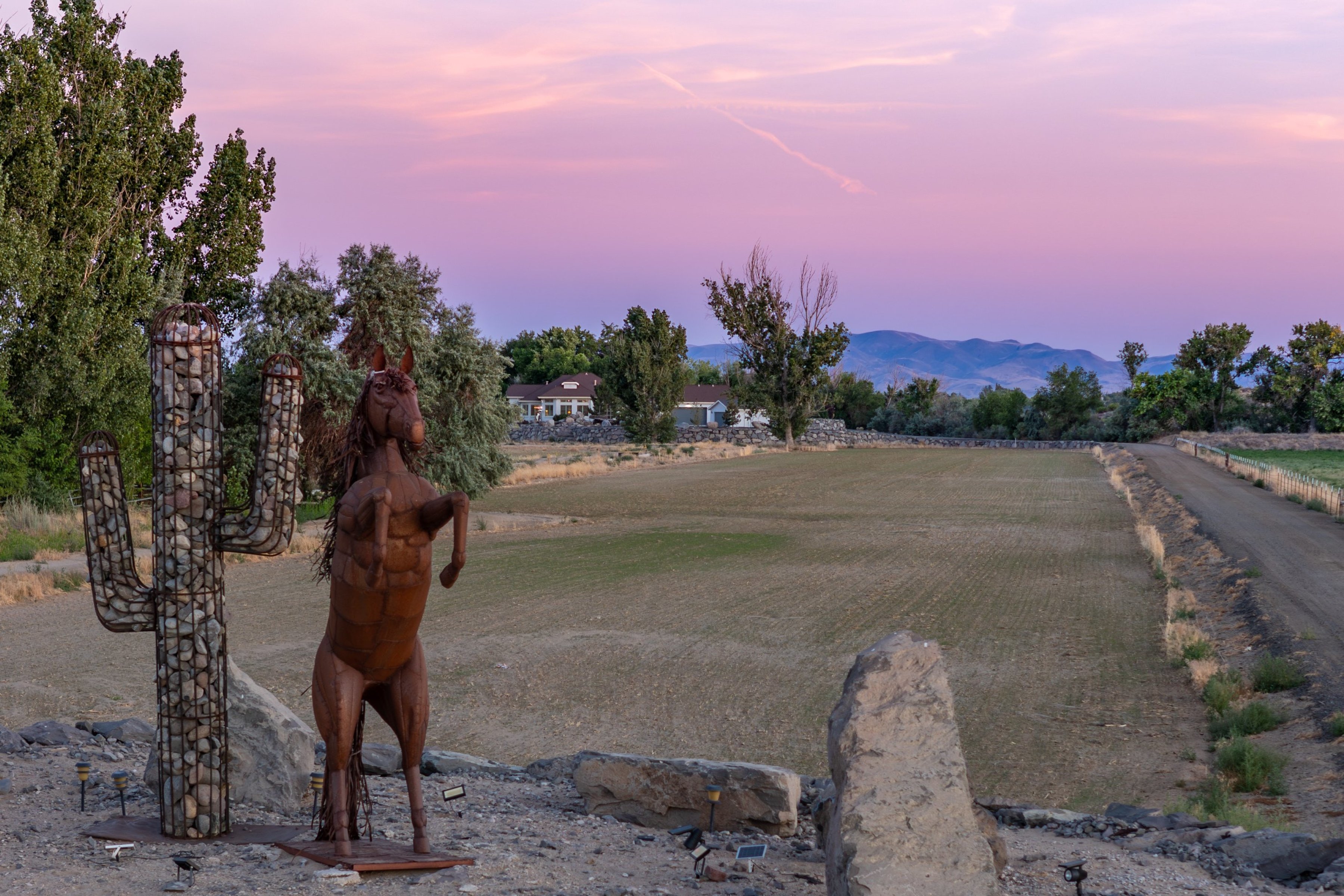  Extraordinary Fallon Estate, now offered with additional acreage - 物件實景