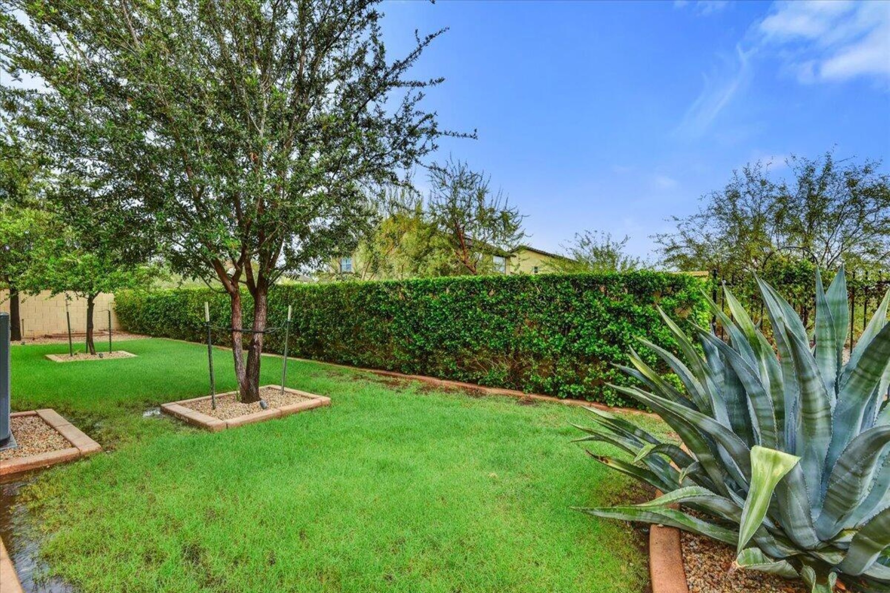  2261 N Beverly Place  Buckeye, AZ - 物件實景
