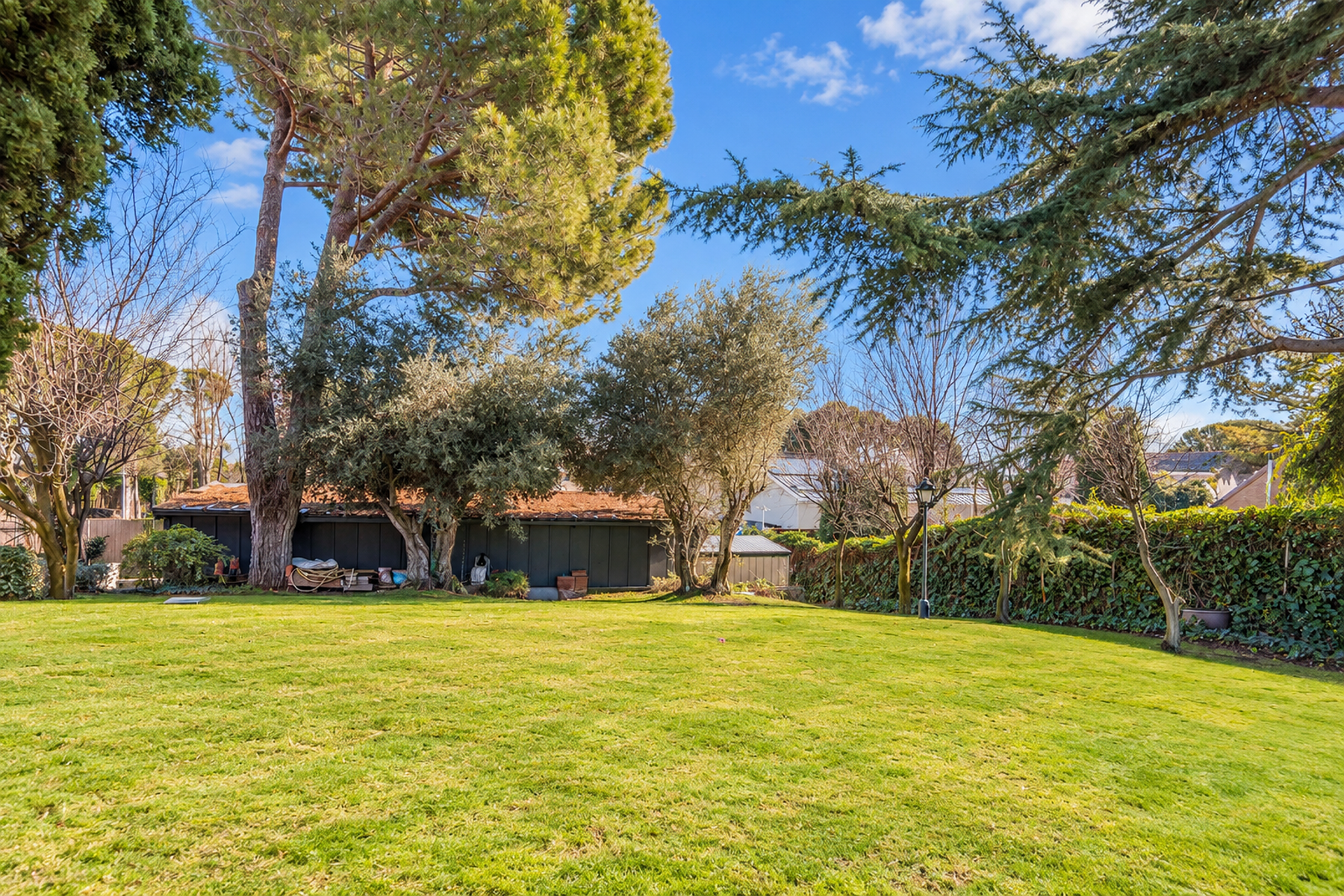  Detached chalet in La Moraleja, Madrid - 物件實景