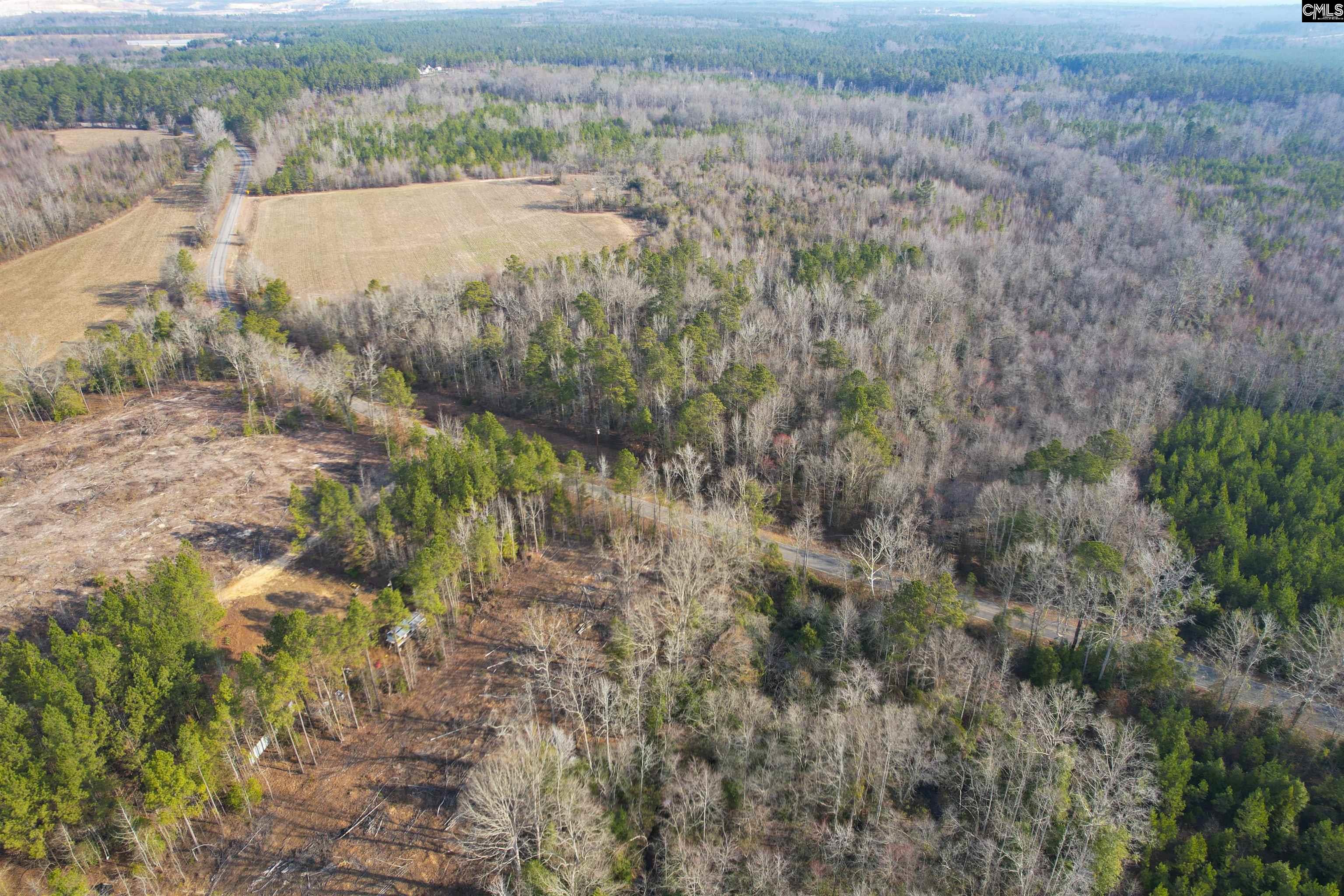 703 Neds Creek Road, Kershaw, South Carolina, 29067, United States, ,Land,For Sale,703 Neds Creek Road,1669372