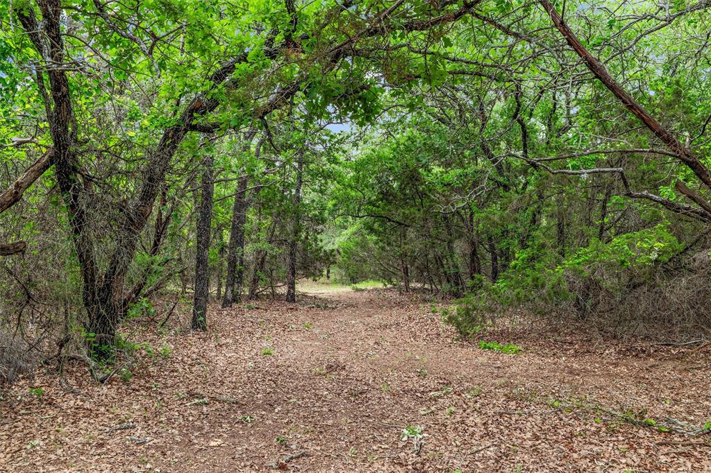 Weatherford, Texas, 76088, United States, 5 Bedrooms Bedrooms, ,4 BathroomsBathrooms,Residential,For Sale,1920303