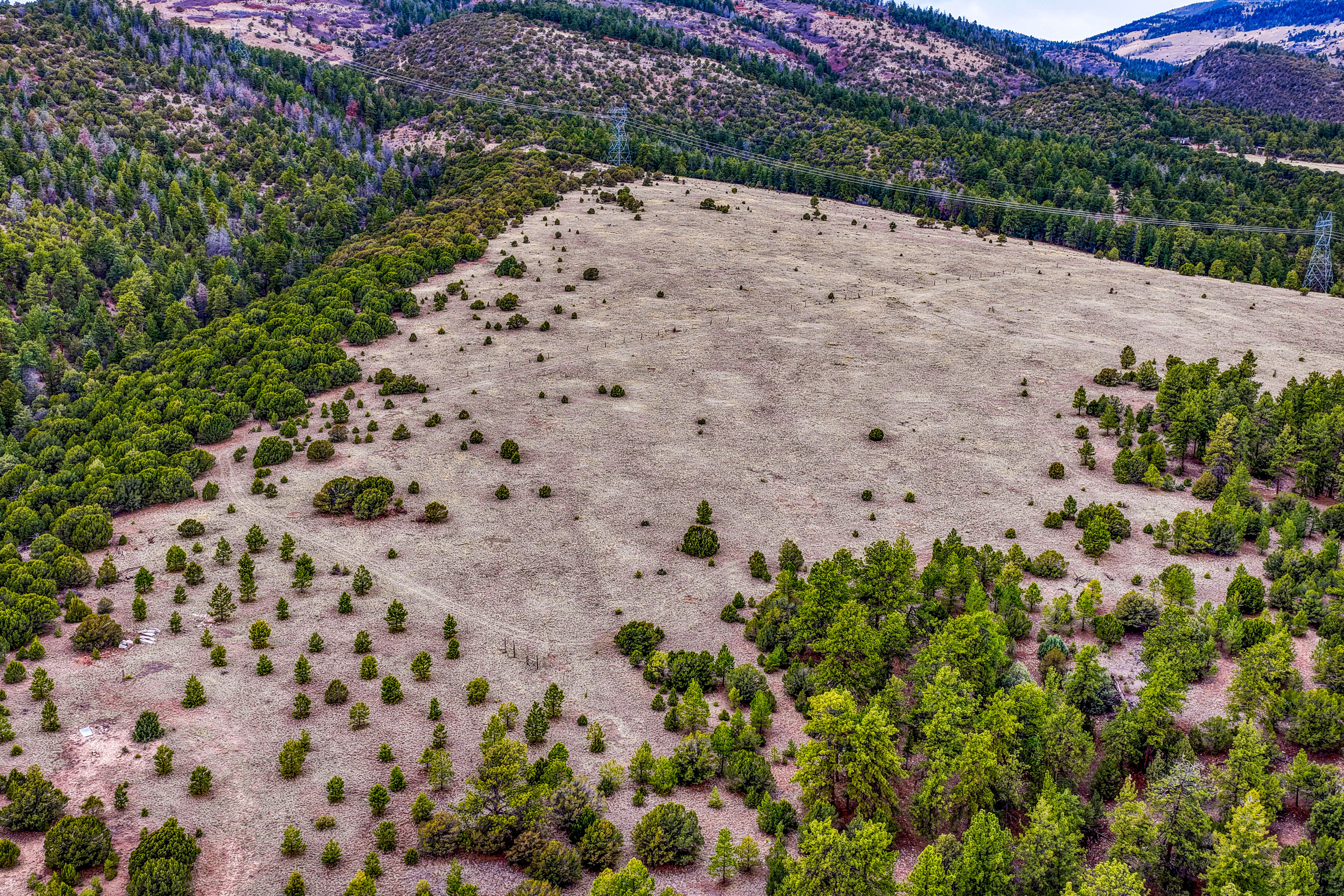  Spectacular 119 acre ranch tucked into a scenic mountain valley - 物件實景