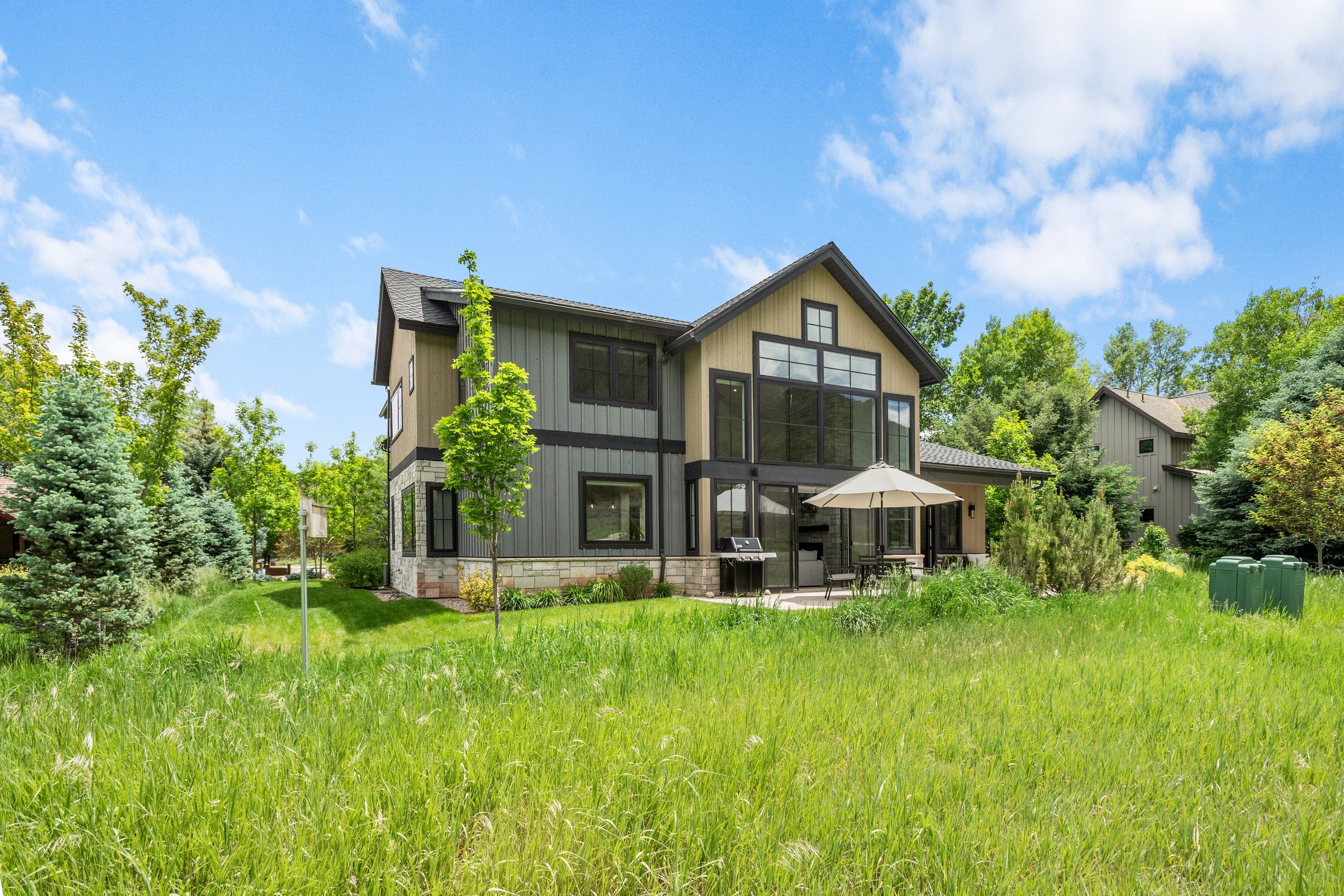  303 Golden Bear Drive, Carbondale, CO 81623 - 物件實景