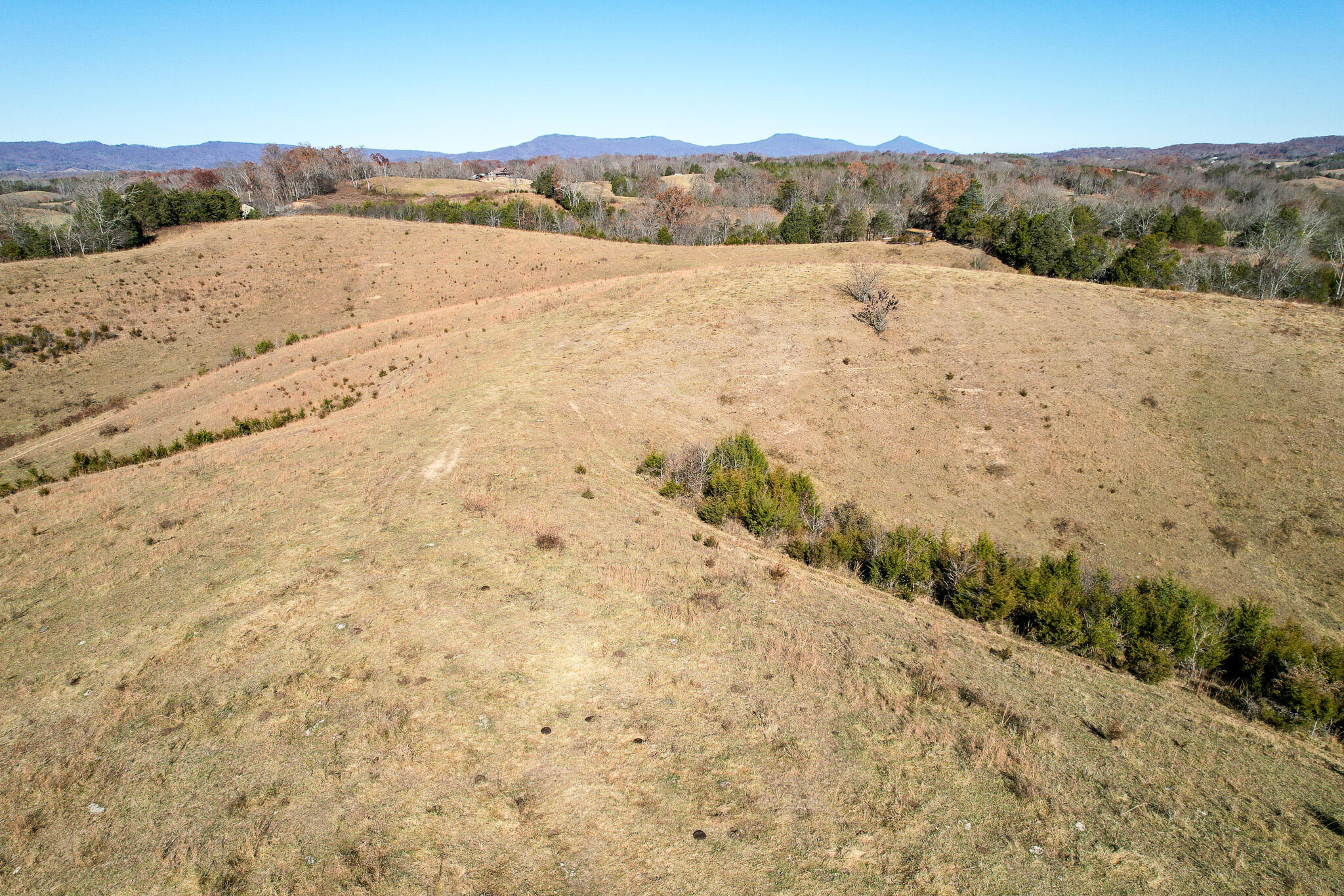 Greeneville, Tennessee, 37745, United States, ,Residential,For Sale,1920316