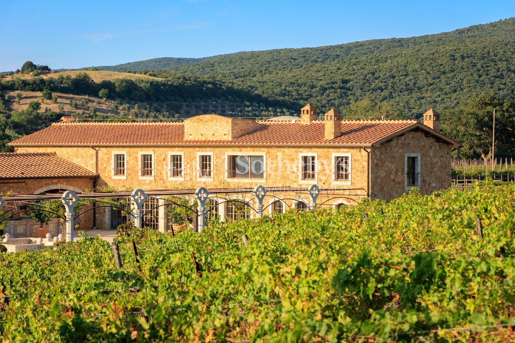  Incomparable Estate in the Tuscan countryside - 物件實景