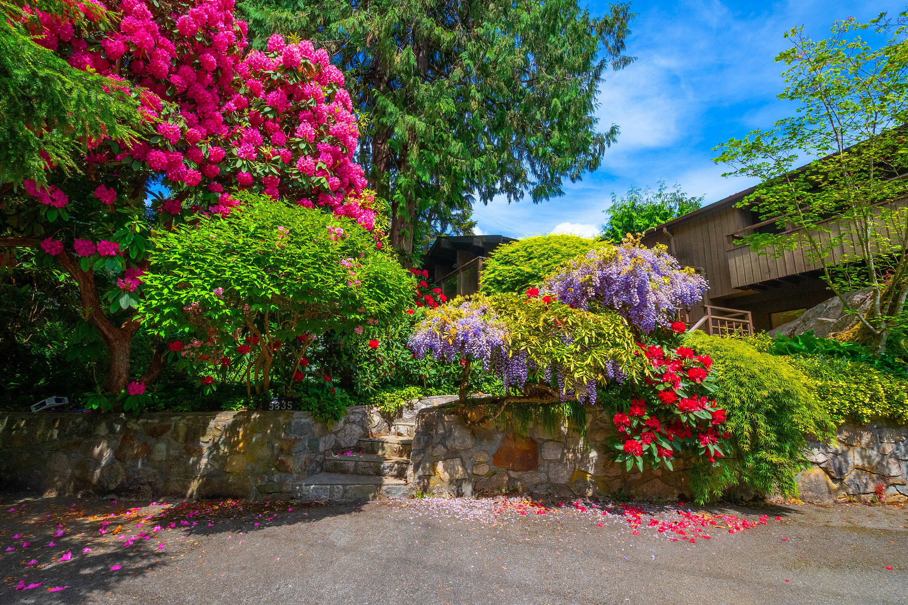  West Vancouver, Greater Vancouver - 物件實景