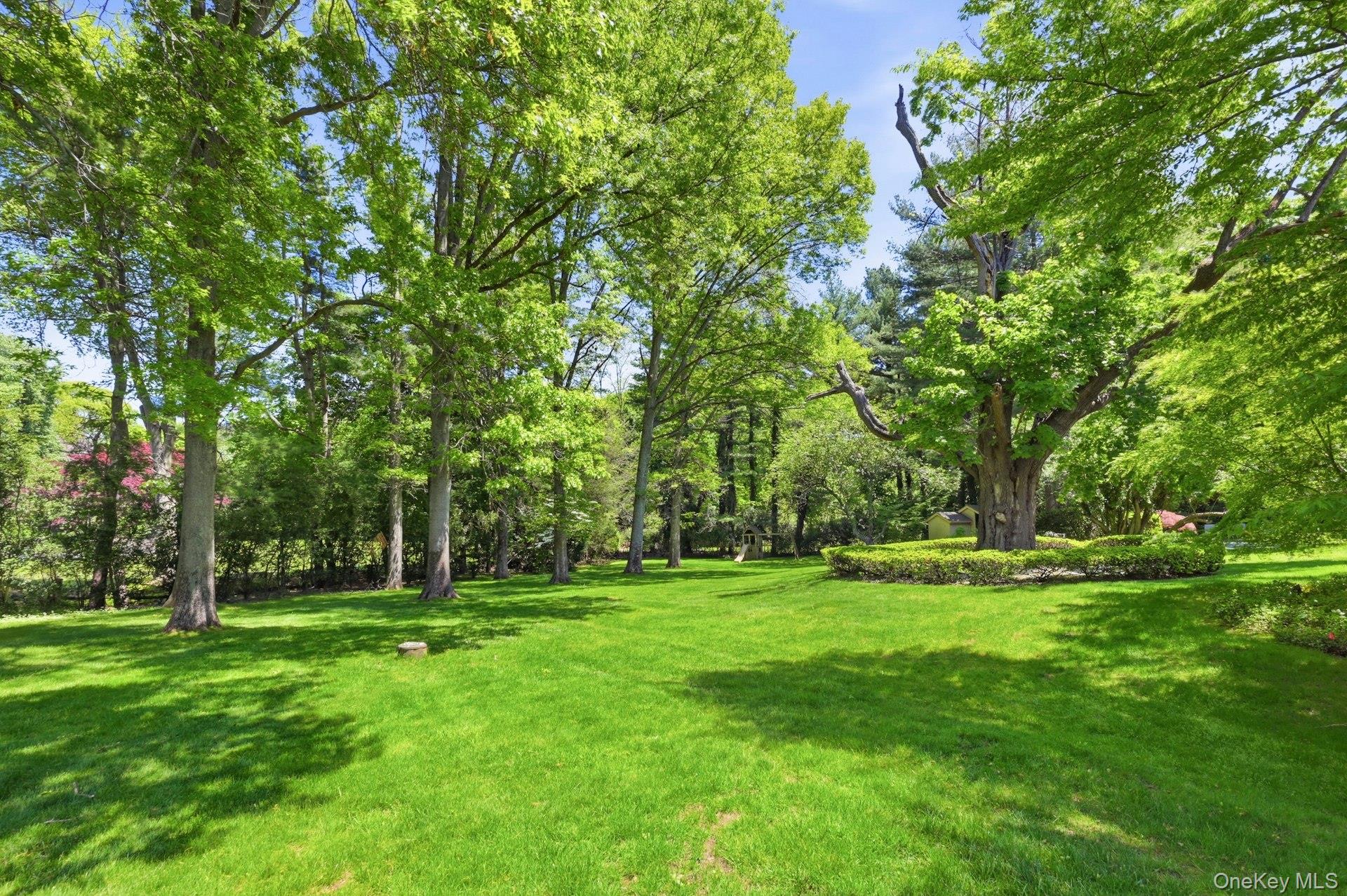  17 Hastings Road, Old Westbury, NY, 11568 - 物件實景