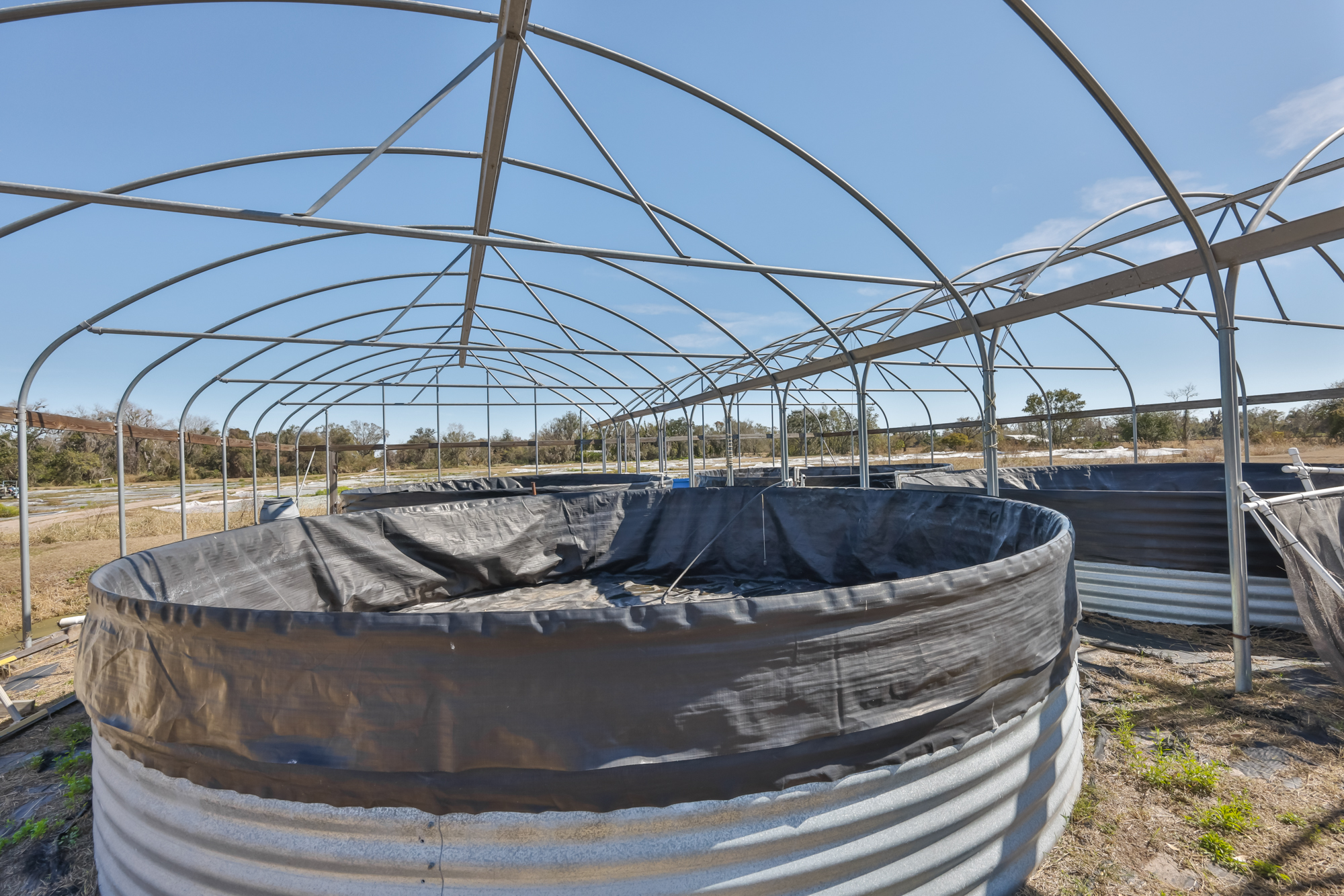 Wimauma, Florida, 33598, United States, 3 Bedrooms Bedrooms, ,2 BathroomsBathrooms,Residential,For Sale,2016610