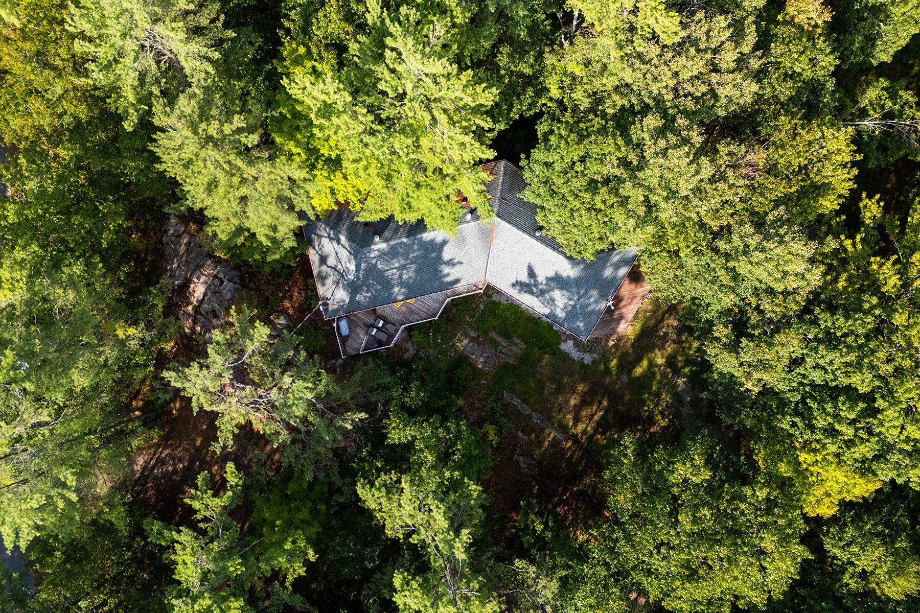  Beautifully Updated Home - 物件實景