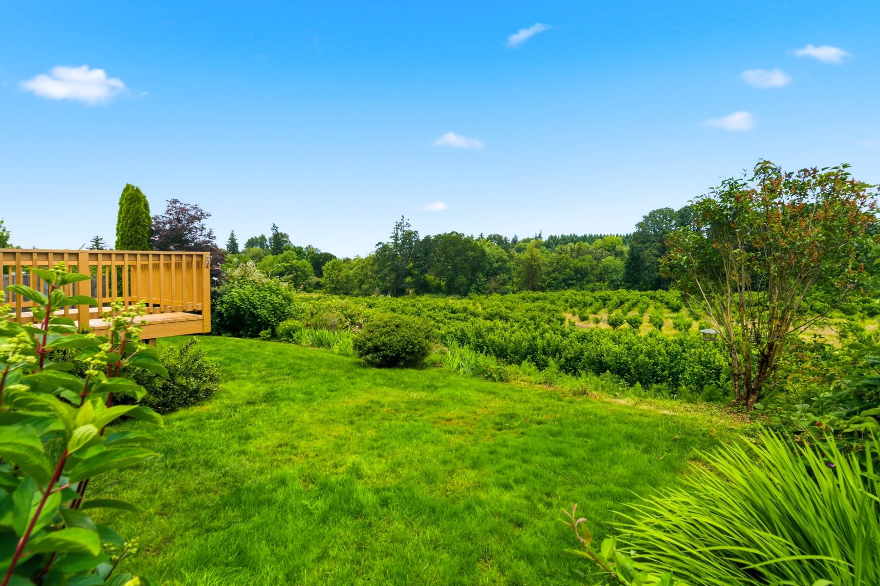  3091 NE HIDDEN MEADOW DR McMinnville, OR 97128 - 物件實景