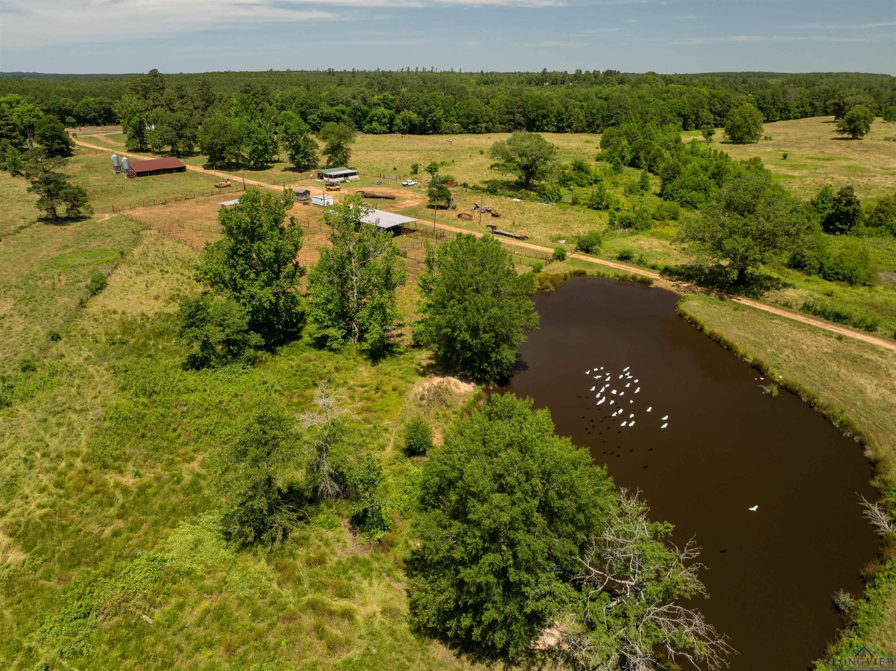 7557 FM 248, Lodi, Texas, 75564, United States, ,Residential,For Sale,7557 FM 248,1614560