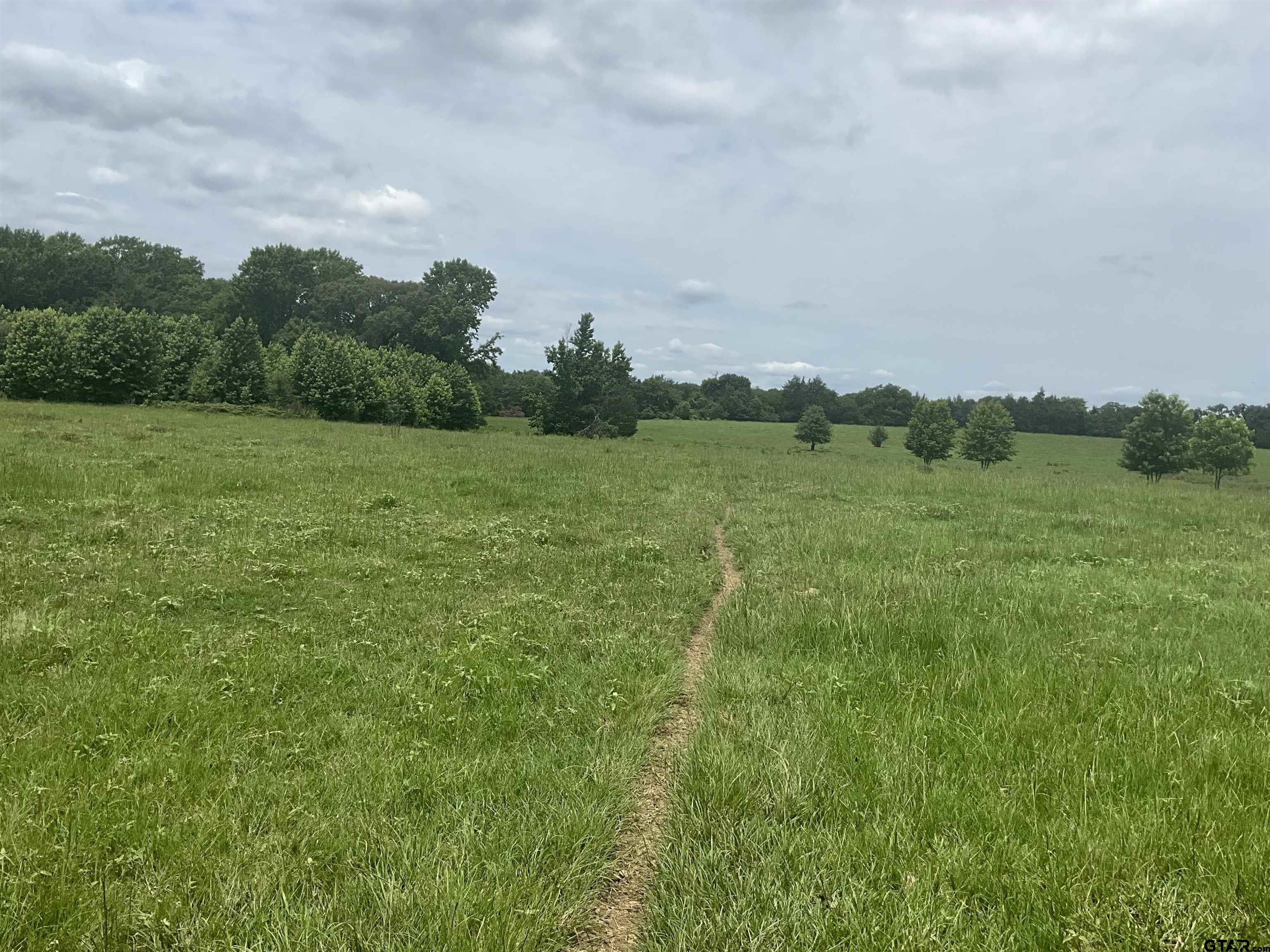 Pittsburg, Texas, 75686, United States, ,Land,For Sale,1976624