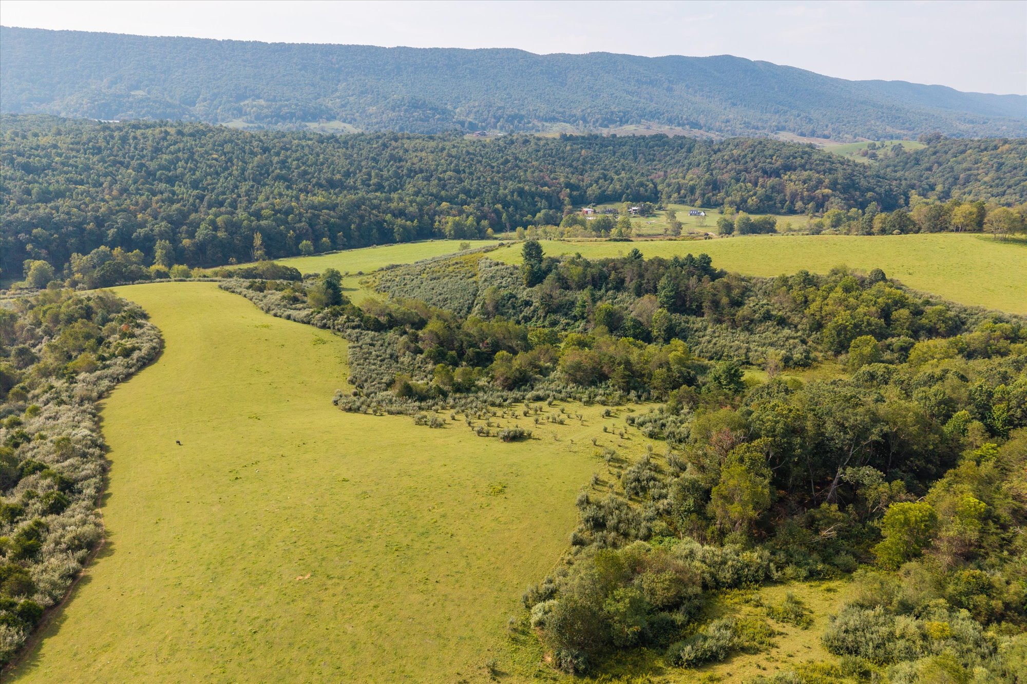  Crystal Springs Farm - 物件實景