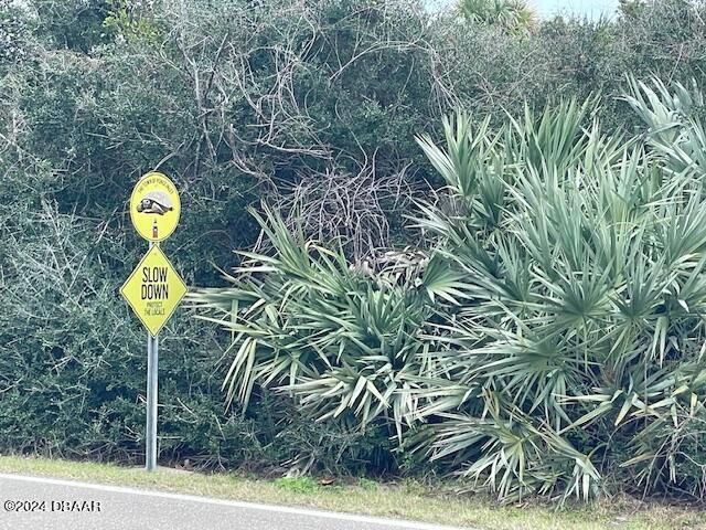 Ponce Inlet, Florida, 32127, United States, ,Land,For Sale,2005853
