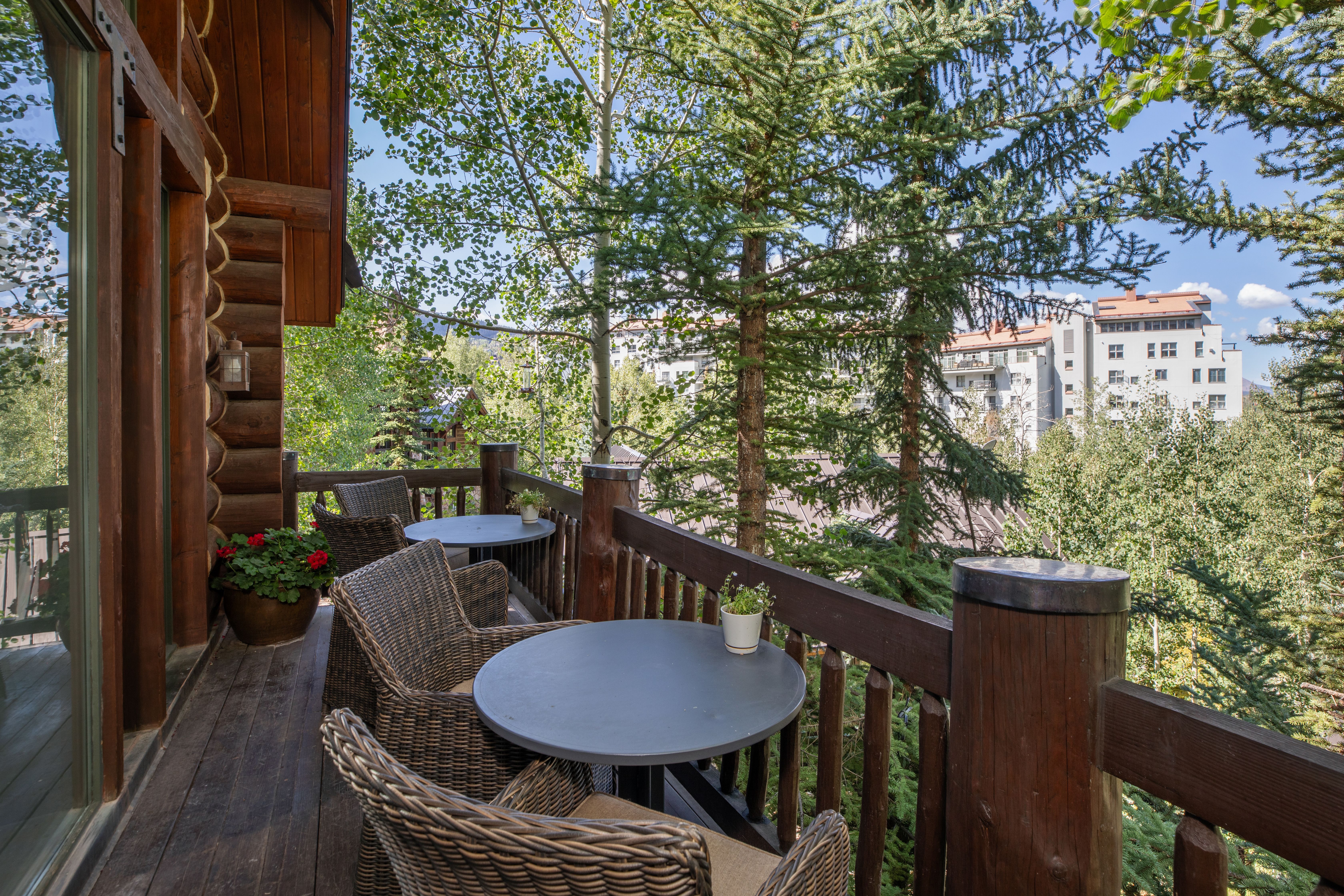  Turnkey Opportunity in Historic Telluride - 物件實景