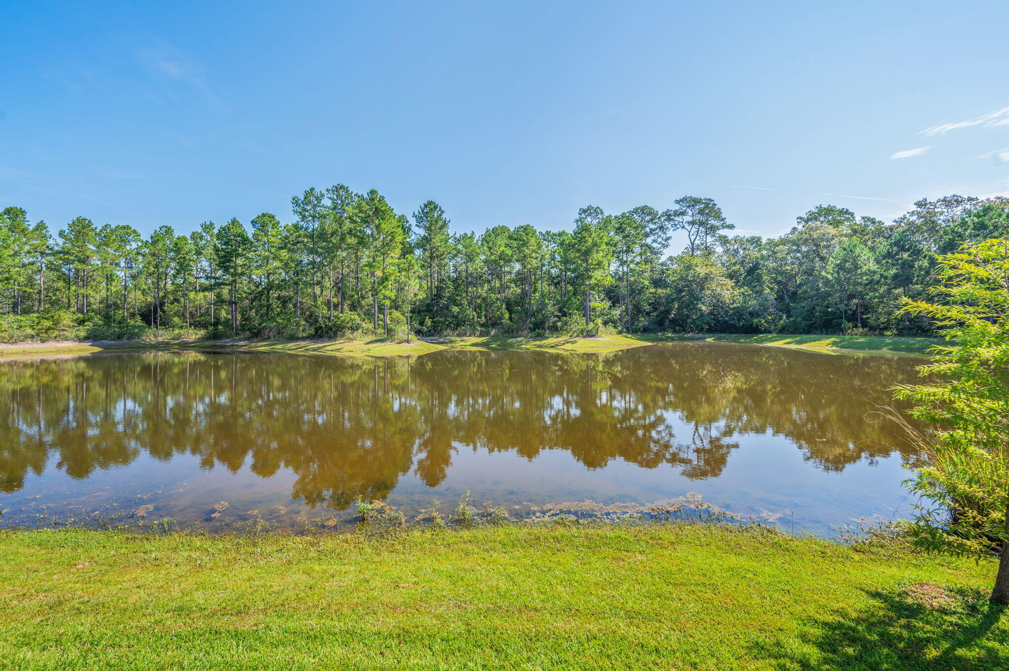 Freeport, Florida, 32439, United States, 4 Bedrooms Bedrooms, ,3 BathroomsBathrooms,Residential,For Sale,1926490