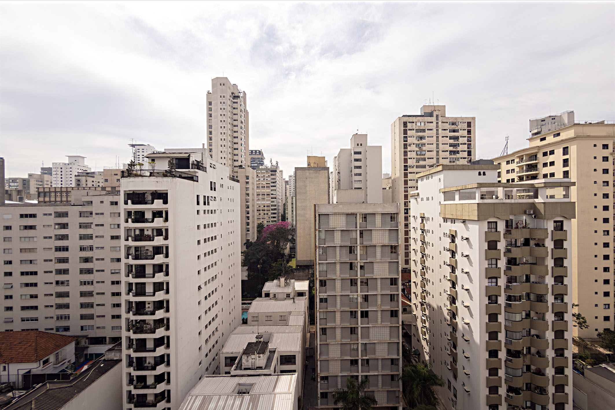  Contemporary Renovation in the Flat Section of Jardim Paulista - 物件實景
