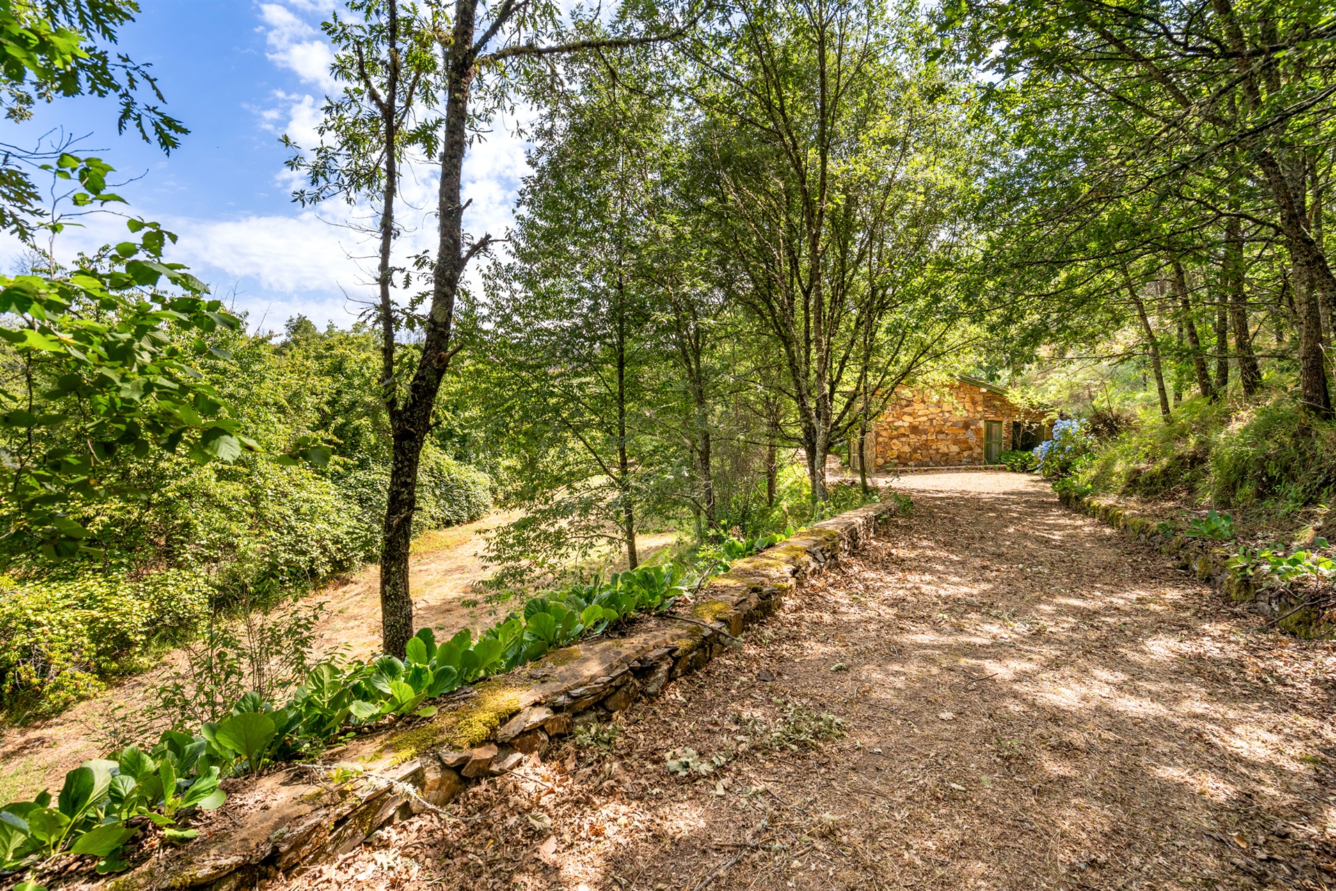  Farm, 5 bedrooms, for Sale - 物件實景