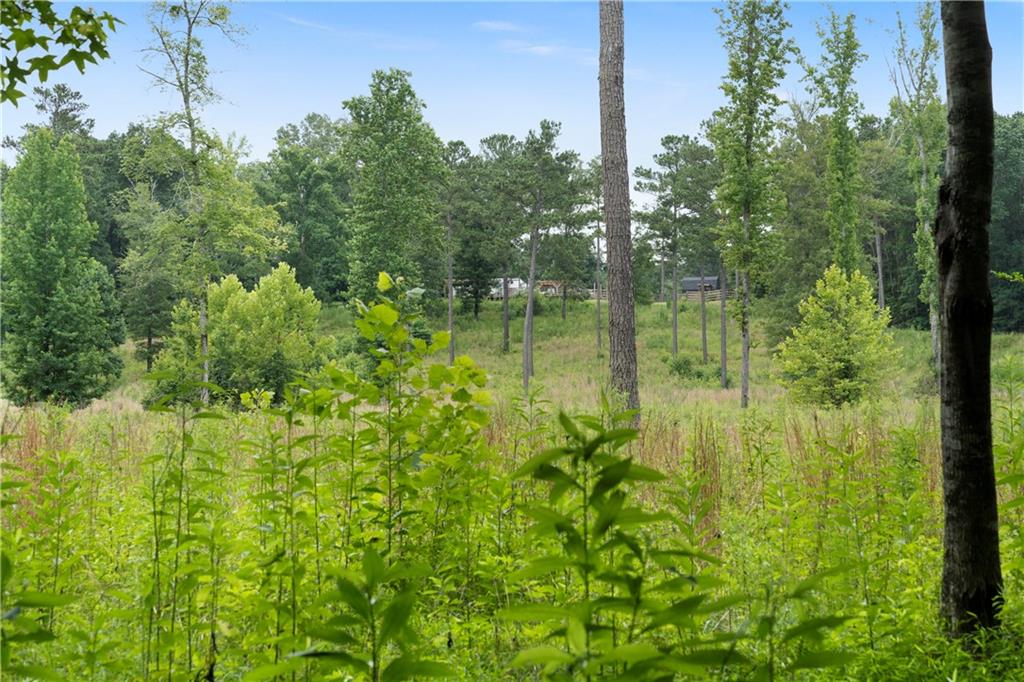 Rome, Georgia, 30165, United States, ,Land,For Sale,1892024