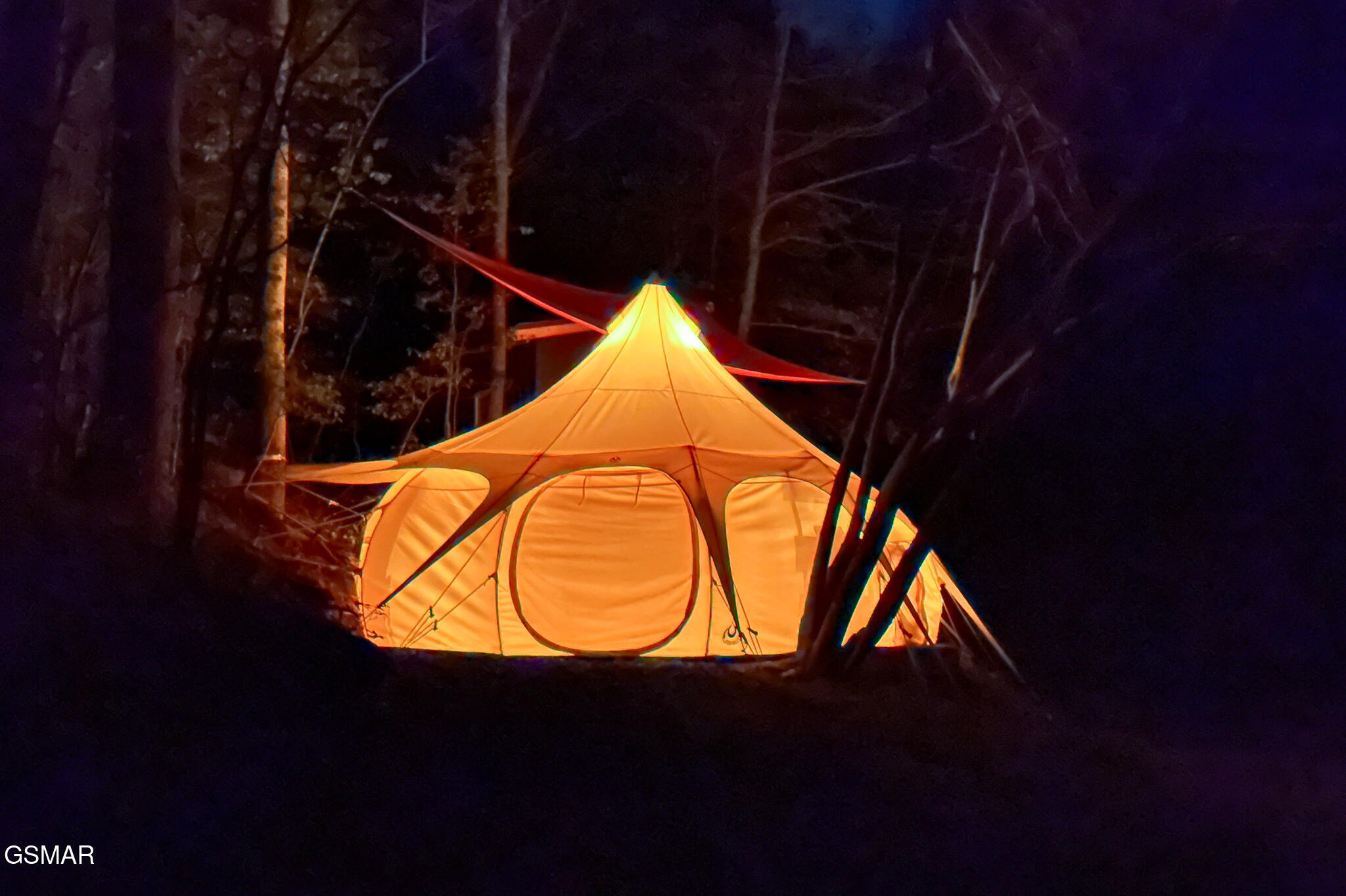 Cosby, Tennessee, 37722, United States, ,Land,For Sale,1978210