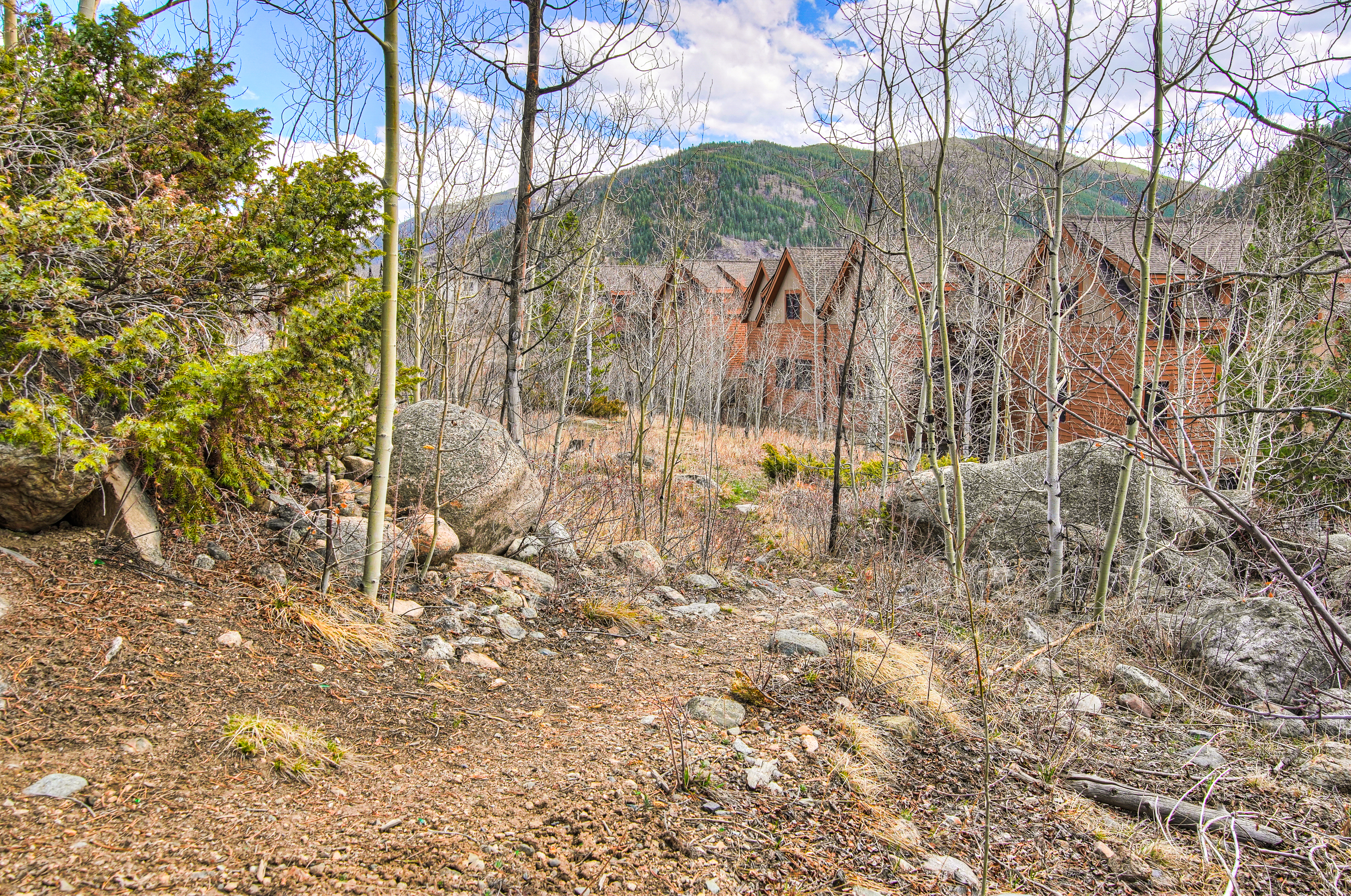  71 Antlers Gulch Road, Keystone, CO, 80435 - 物件實景