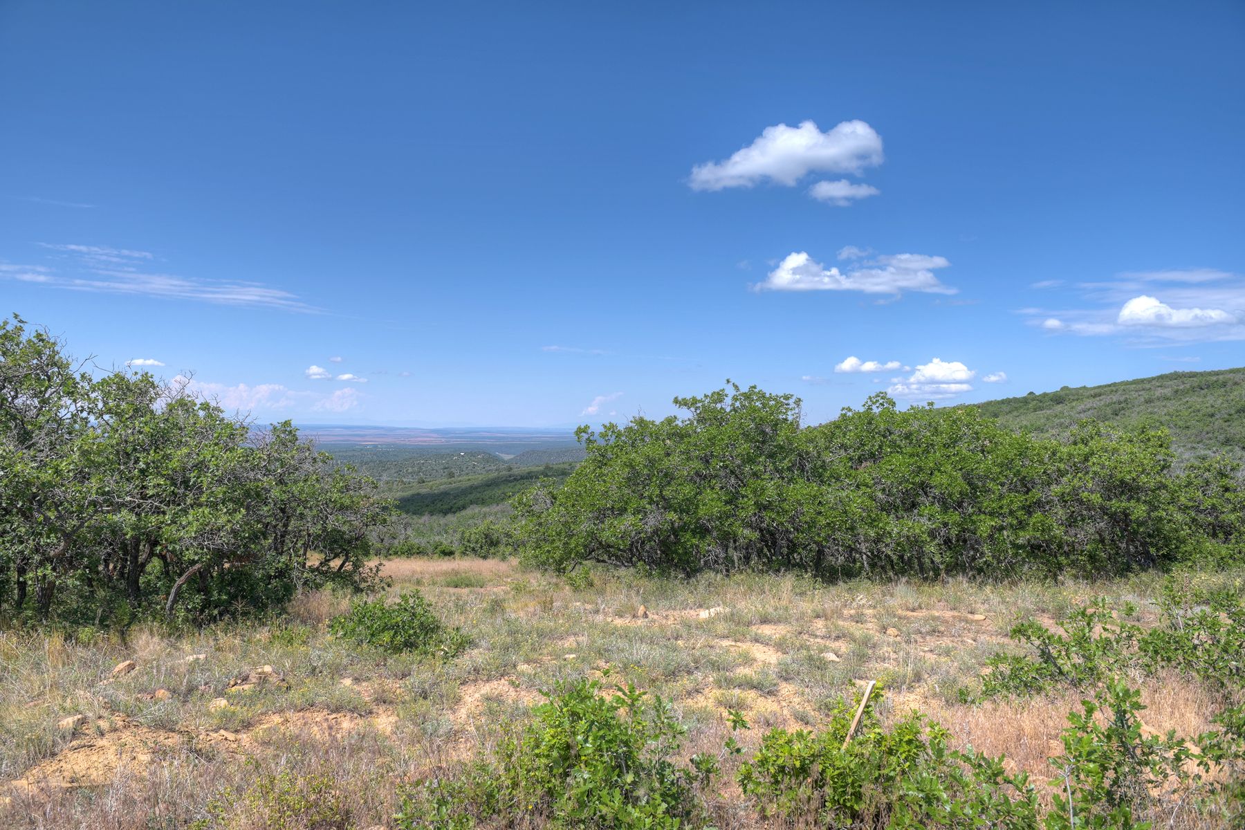  TBD Cross Creek Road, Hesperus, CO 81326 - 物件實景