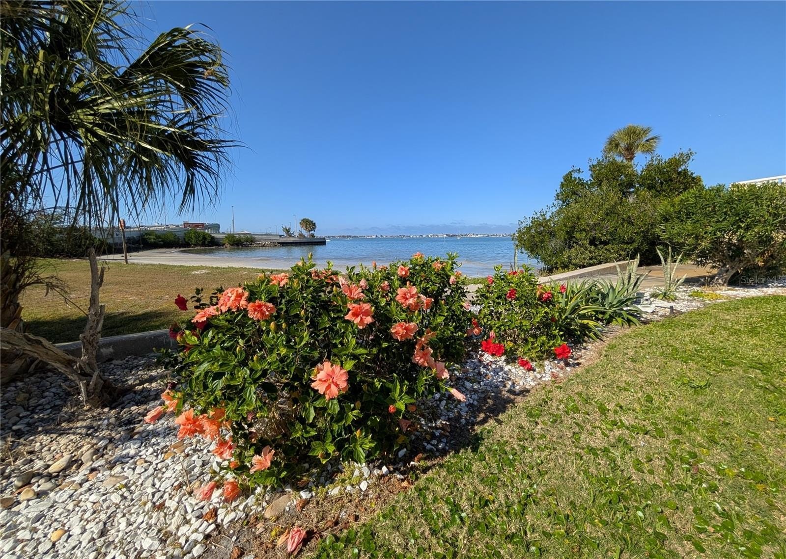 BELLEAIR BLUFFS, Florida, 33770, United States, 2 Bedrooms Bedrooms, ,2 BathroomsBathrooms,Residential,For Sale,2005245