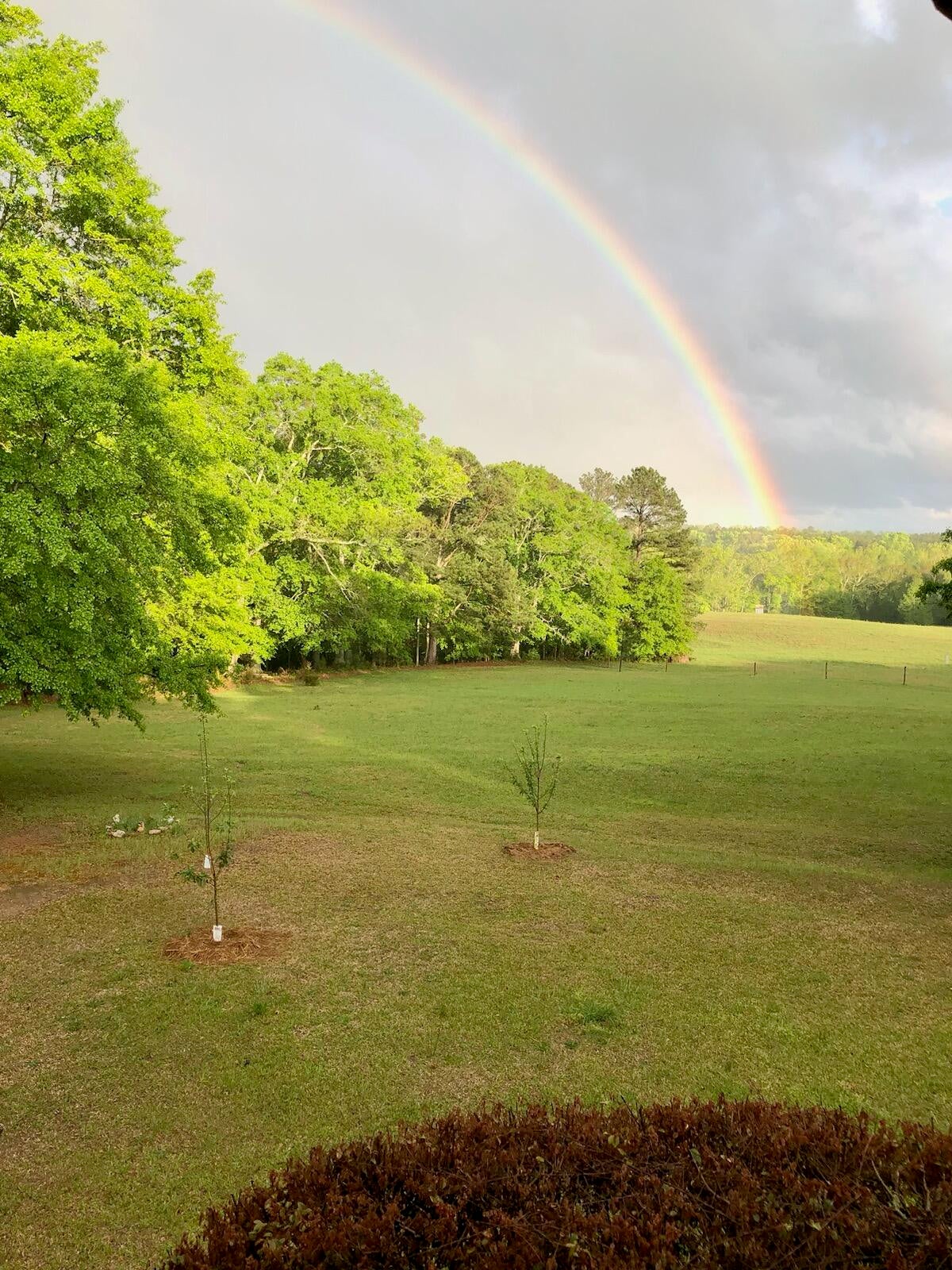 Rayle, Georgia, 30660, United States, 4 Bedrooms Bedrooms, ,3 BathroomsBathrooms,Residential,For Sale,1994515