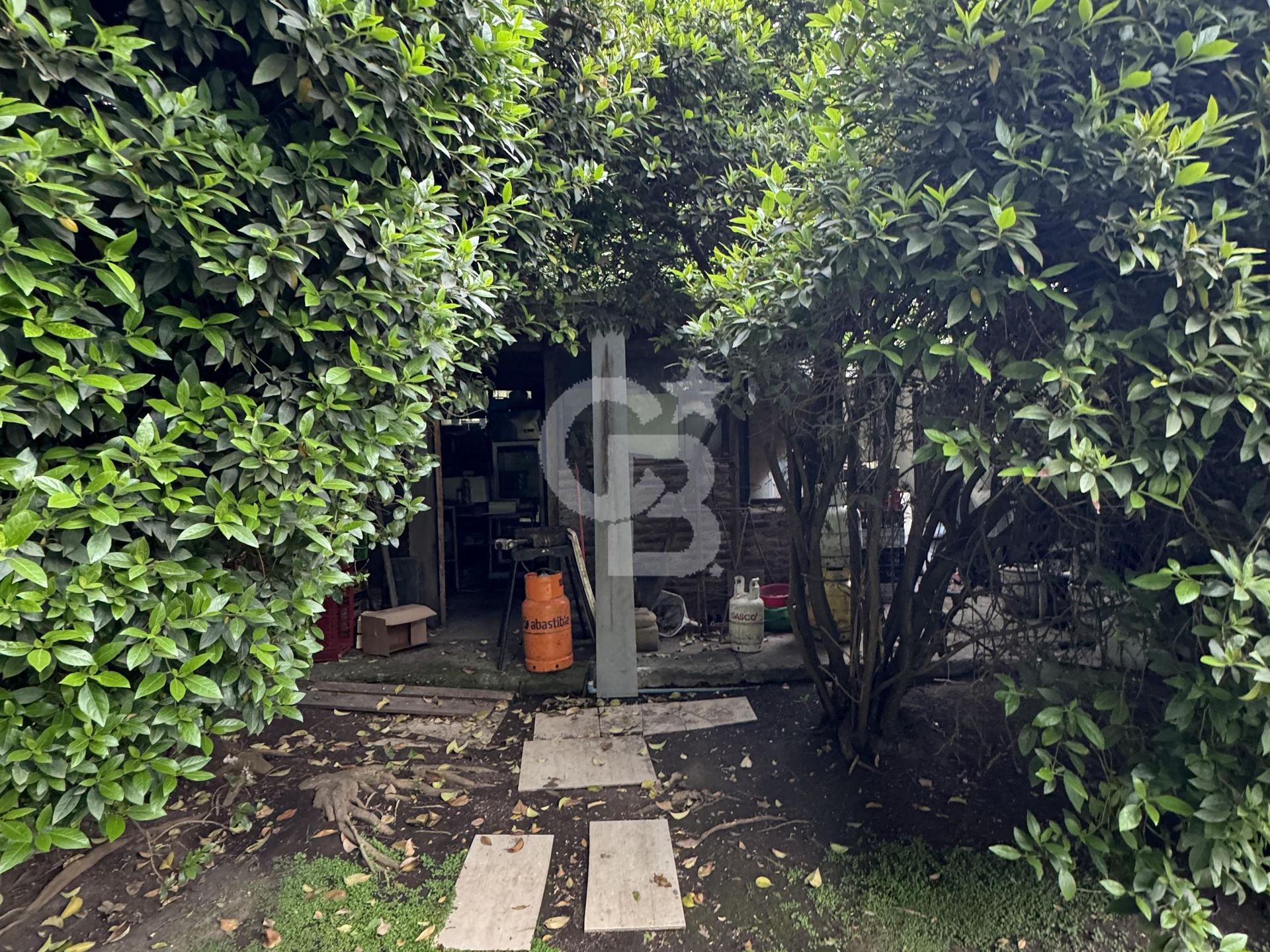 Vitacura, Chile, 4 Bedrooms Bedrooms, ,3 BathroomsBathrooms,Residential,For Sale,1971726