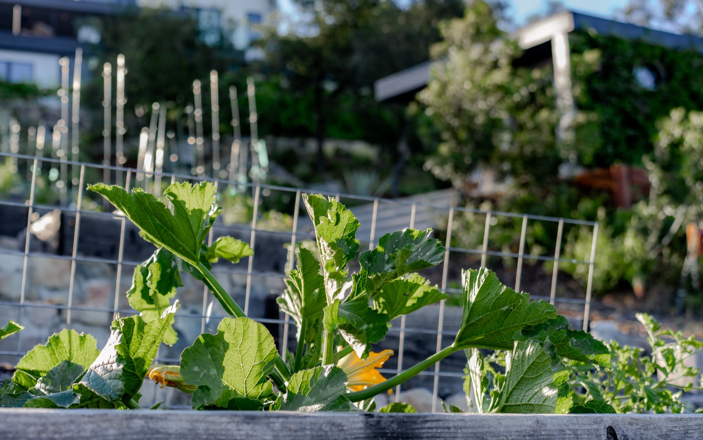  Contemporary Agrarian by EAG Studio - 物件實景