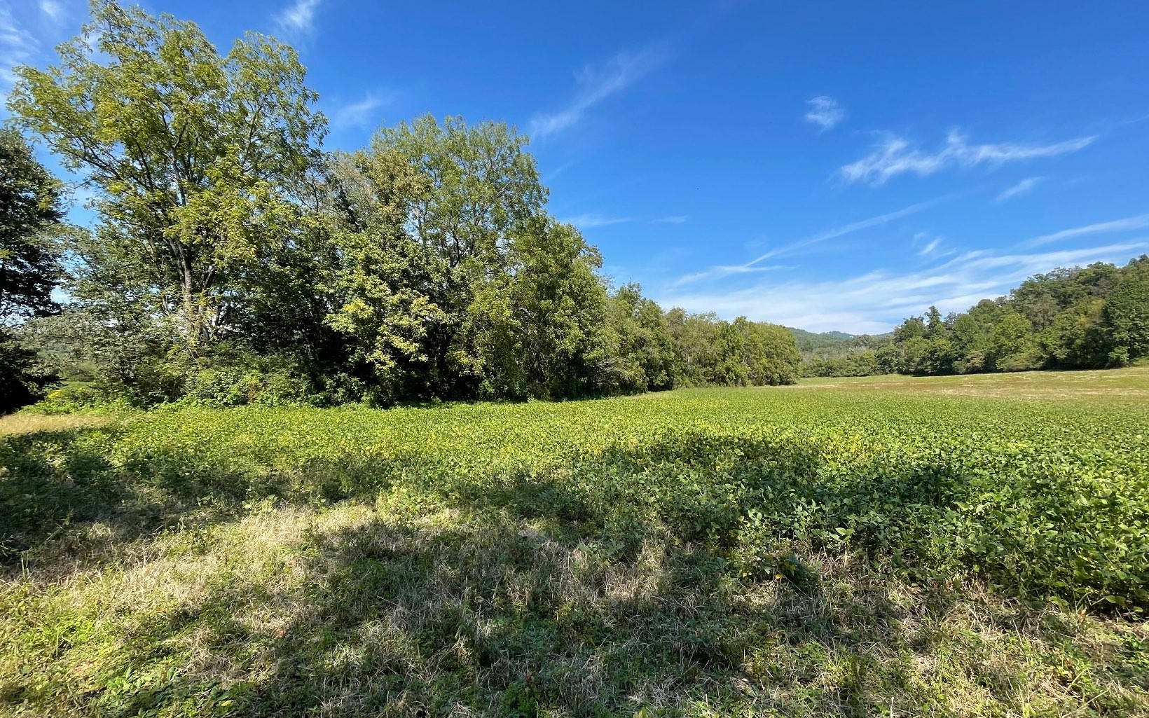 Hayesville, North Carolina, 28904, United States, ,Residential,For Sale,1943293