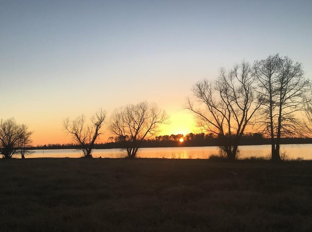 Etoile, Texas, 75944, United States, 3 Bedrooms Bedrooms, ,2 BathroomsBathrooms,Residential,For Sale,1989857