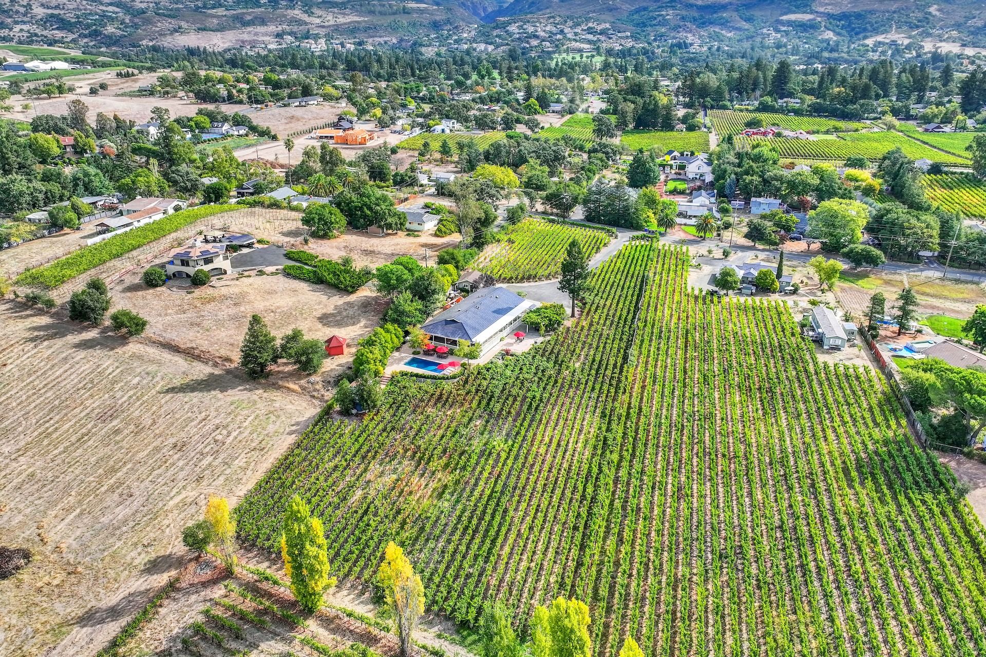  Classic Wine Country Setting - 物件實景