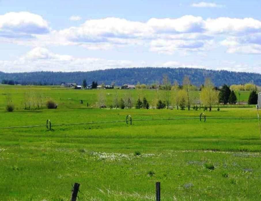 McCall, Idaho, 83638, United States, ,Land,For Sale,1978788