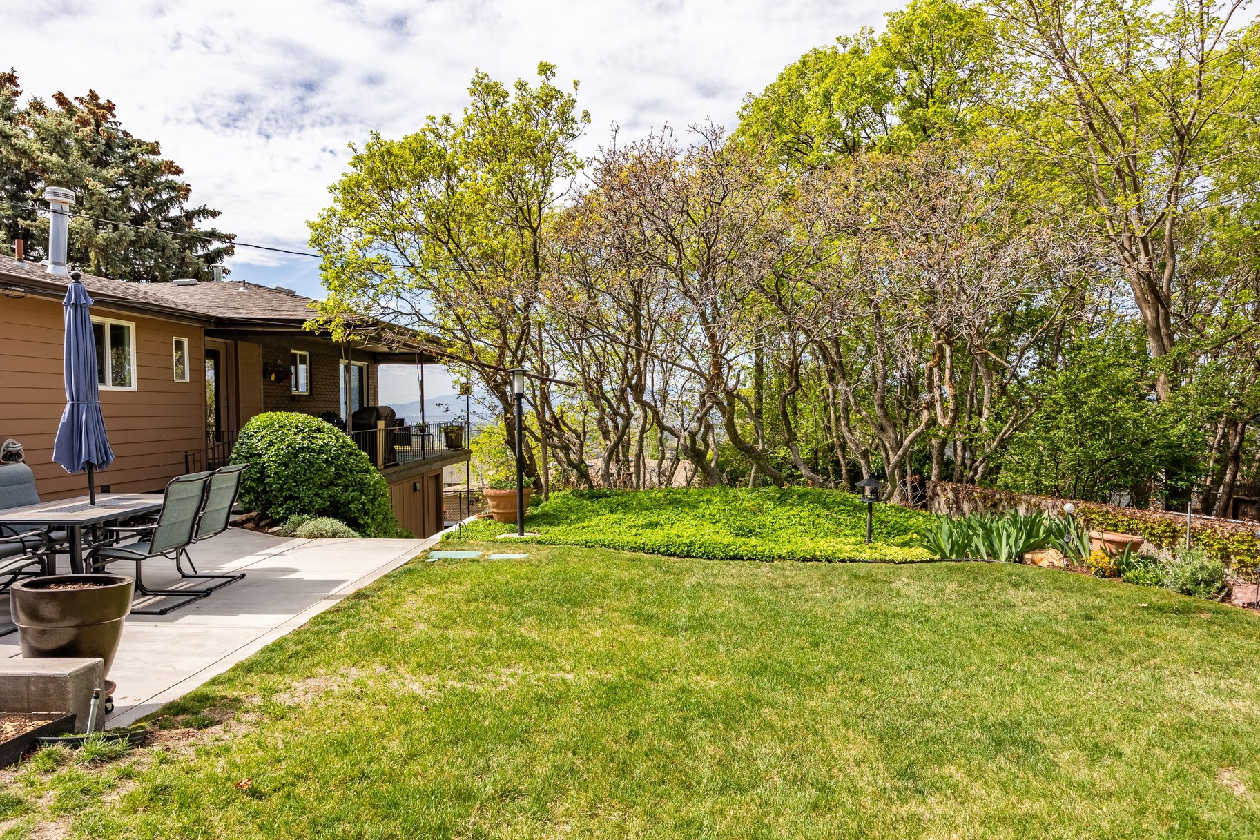  Stunning Remodeled Rambler - 物件實景