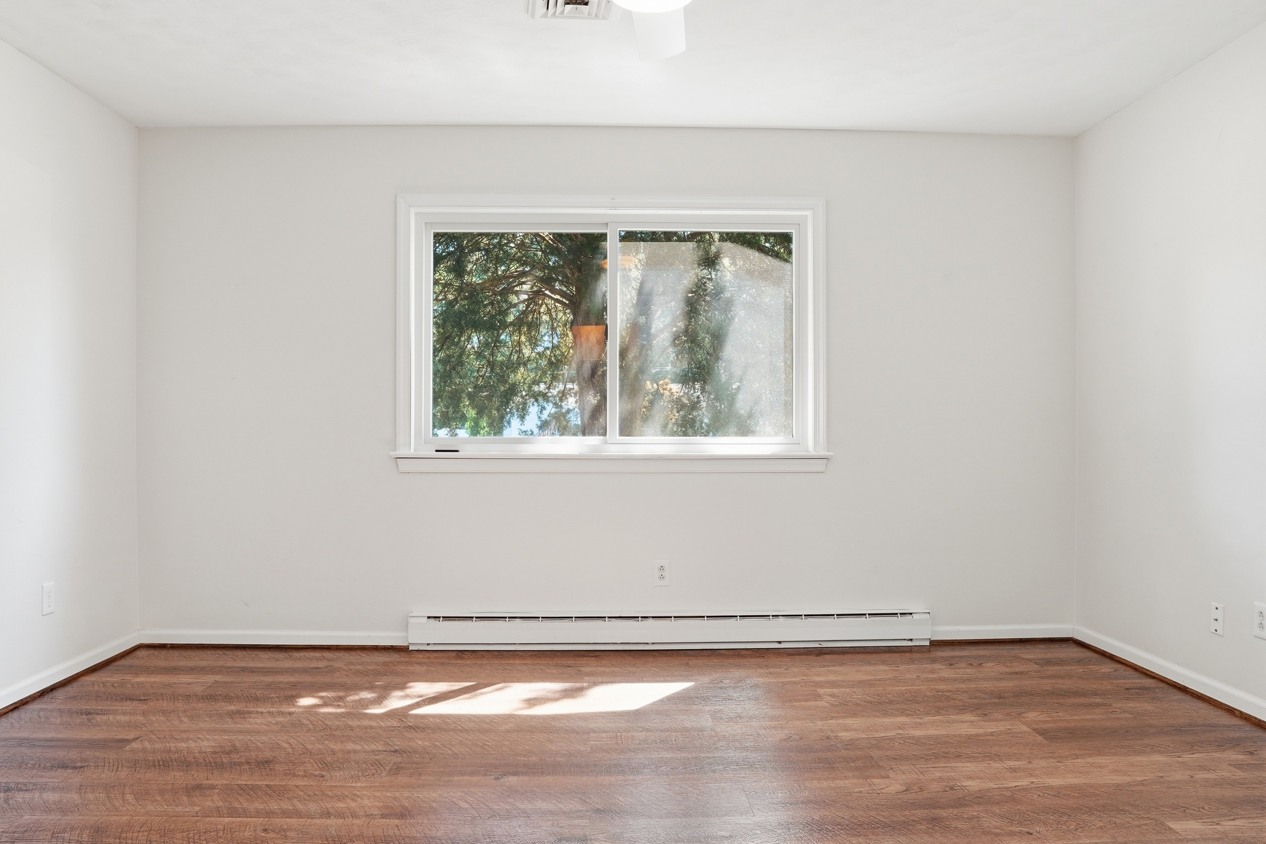  347 Brout Drive, Hampton, VA 23666 - 物件實景