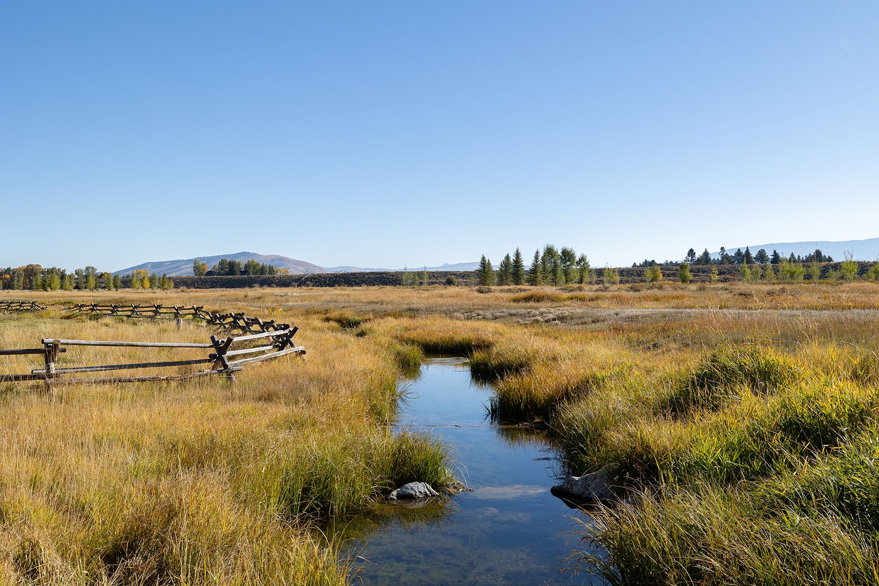 Wapiti Retreat - 物件實景
