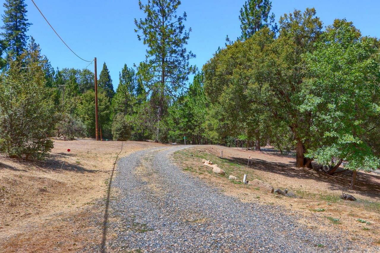 Mariposa, California, 95338, United States, 3 Bedrooms Bedrooms, ,2 BathroomsBathrooms,Residential,For Sale,1916608