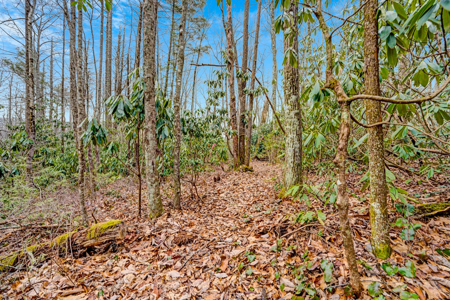  Lot 21 Hardscrabble Ridge Road - 物件實景