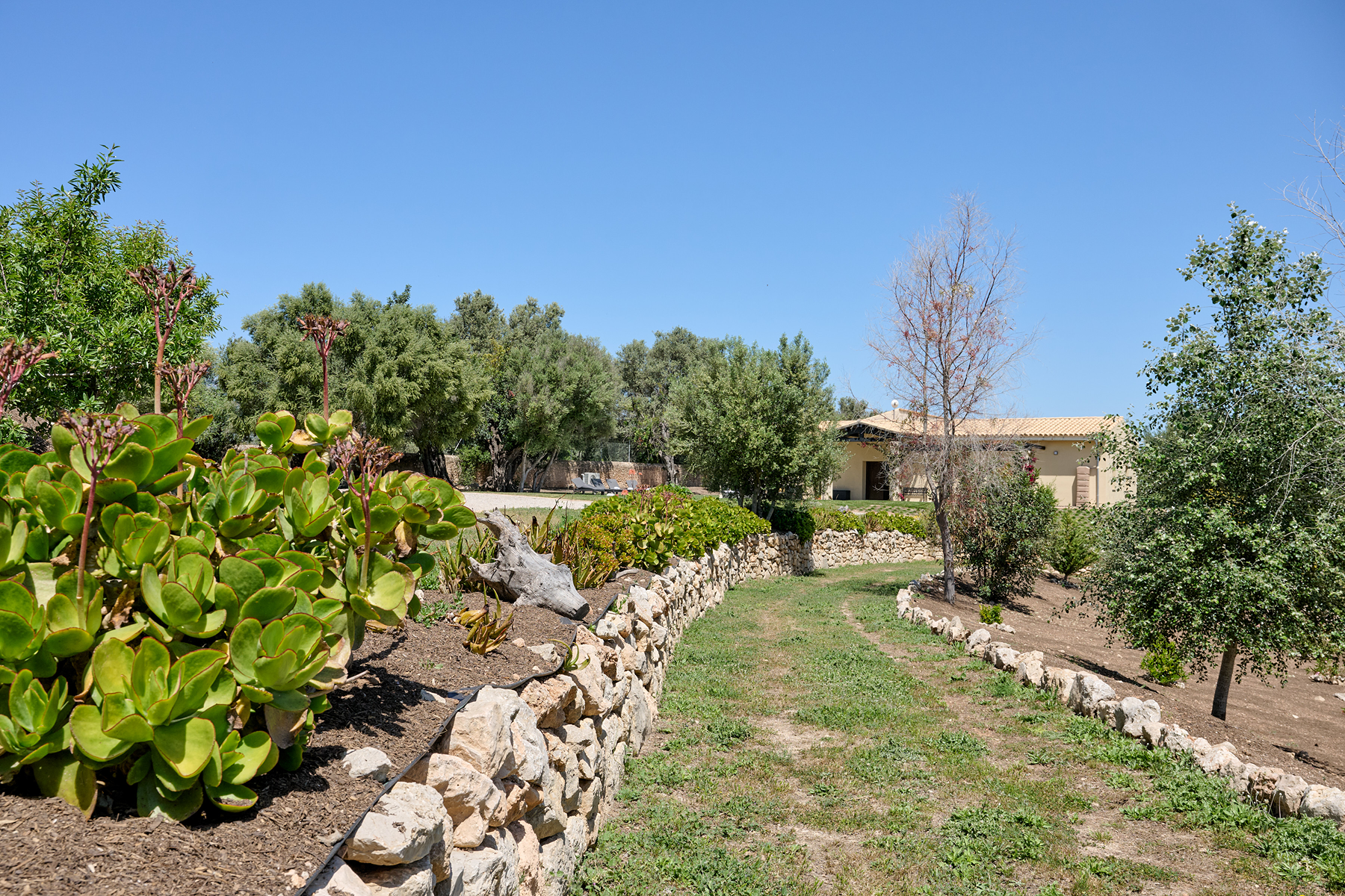  Eco-friendly estate with pool in Marratxí - 物件實景