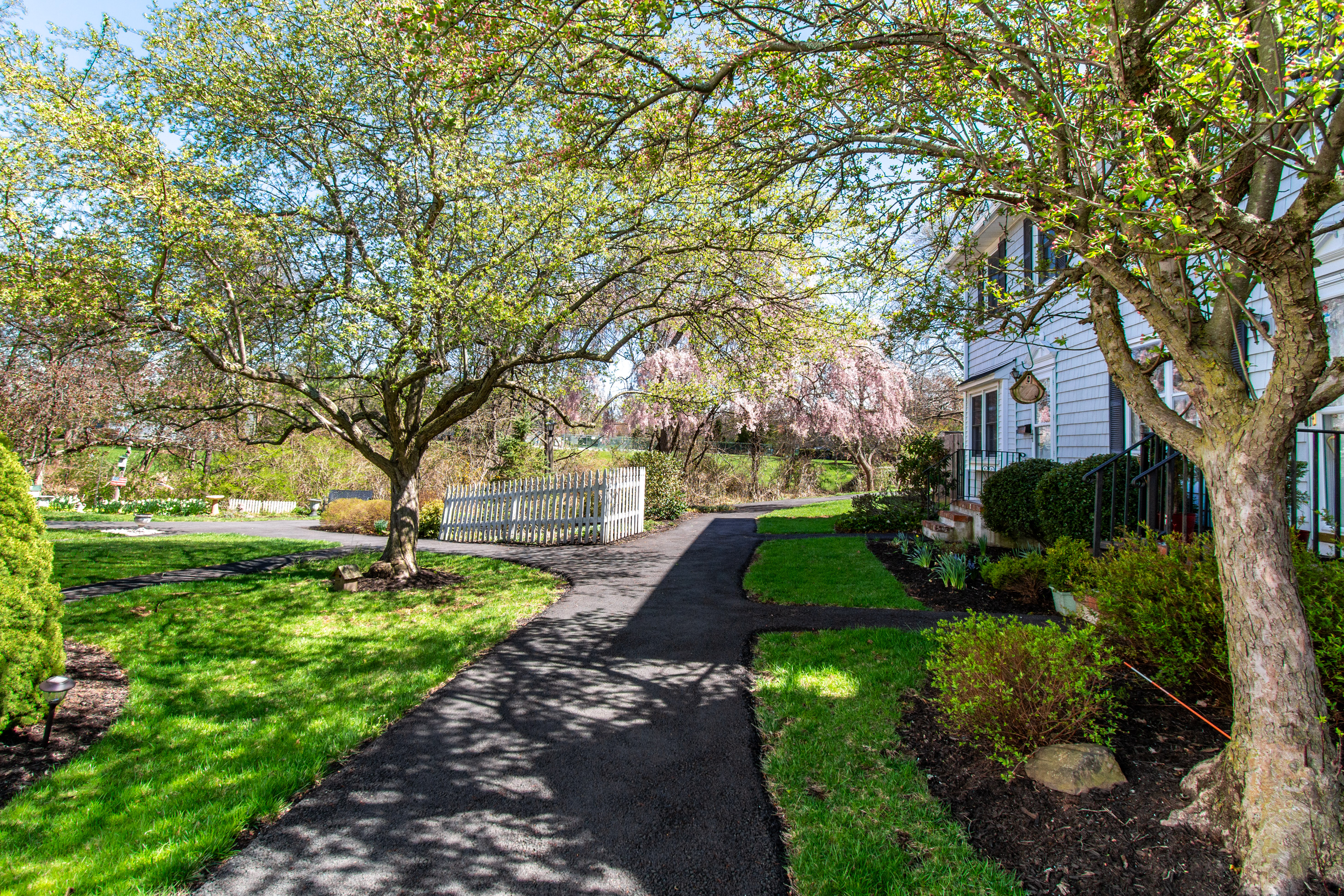  Williamsburg Square Townhouse with New Kitchen, Floors & Bath - 物件實景