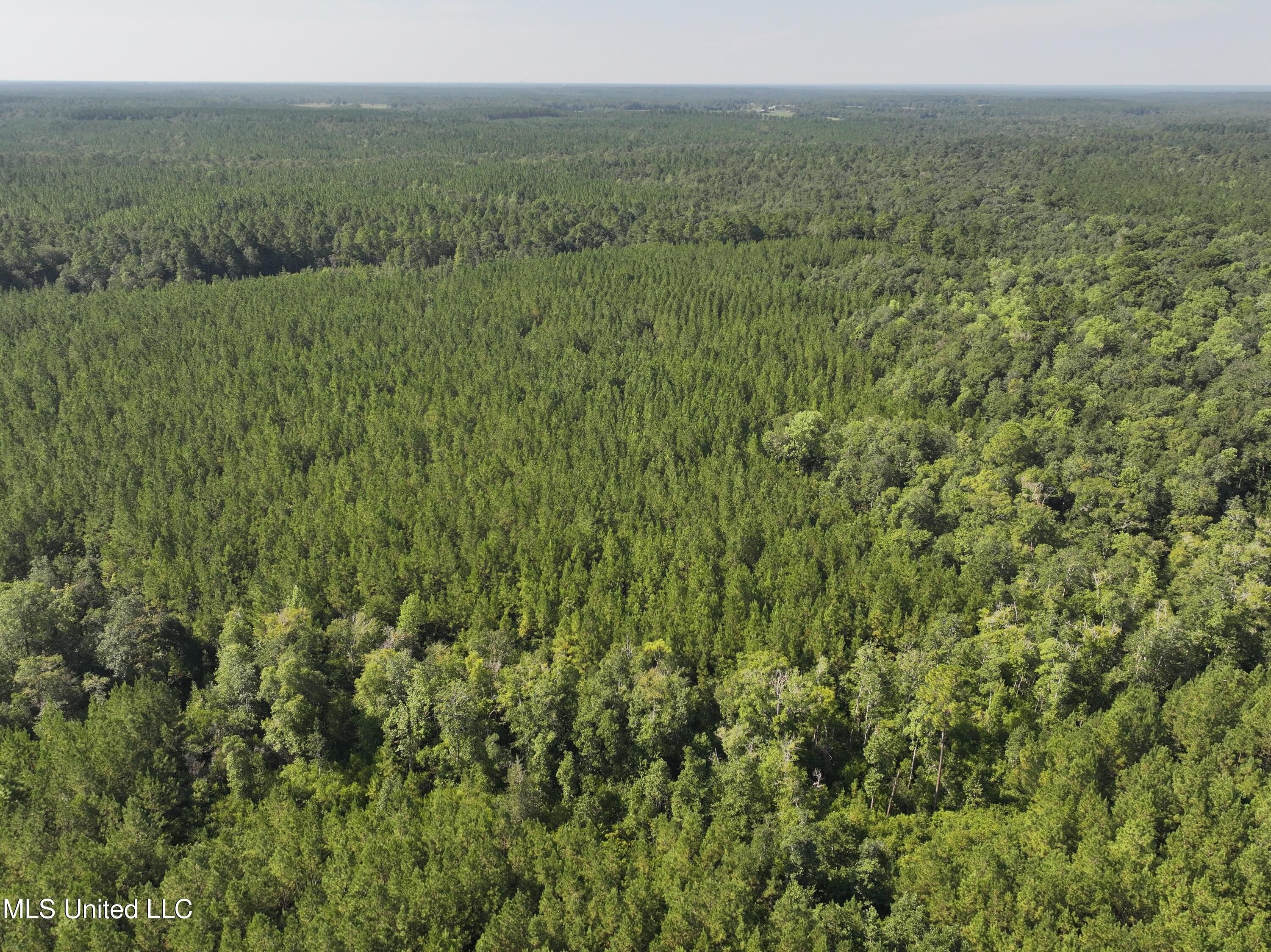 Lucedale, Mississippi, 39452, United States, ,Residential,For Sale,1921879