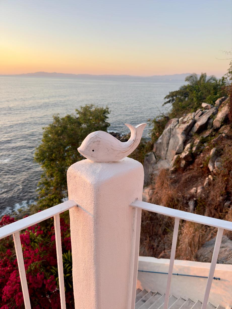 Puerto Vallarta, Jalisoc, 48270, Mexico, 2 Bedrooms Bedrooms, ,2 BathroomsBathrooms,Residential,For Sale,1940331