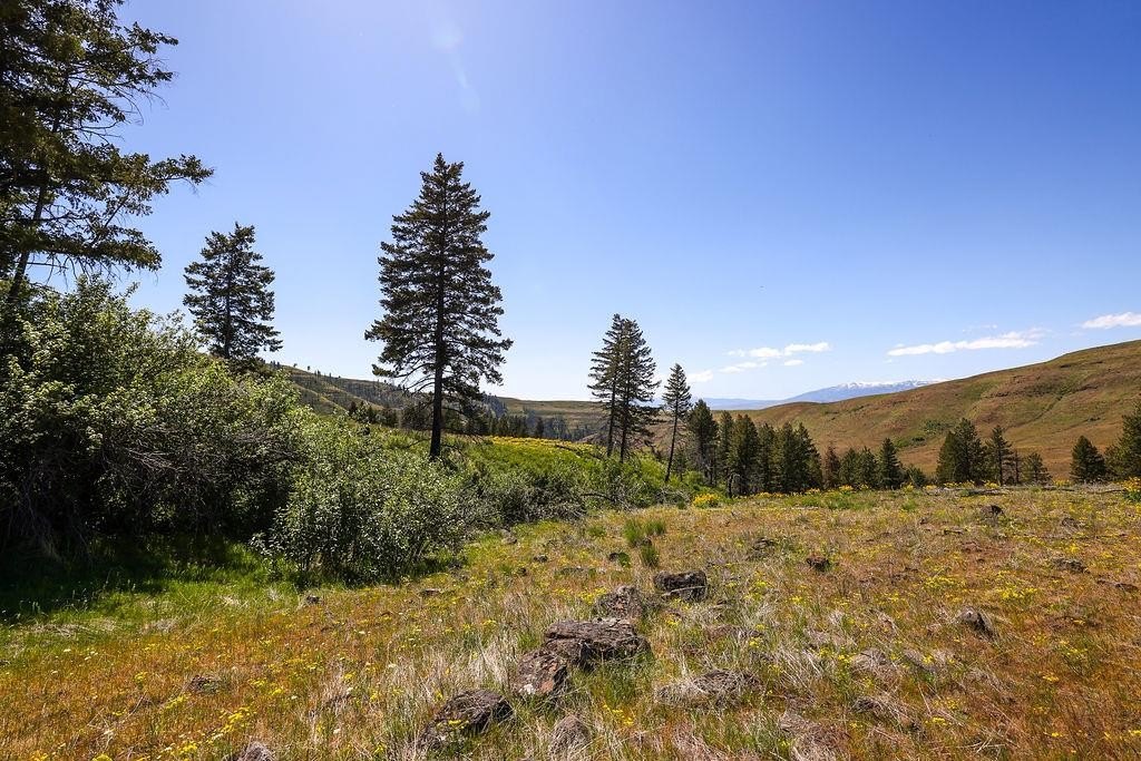 Council, Idaho, 83612, United States, ,Residential,For Sale,1935833